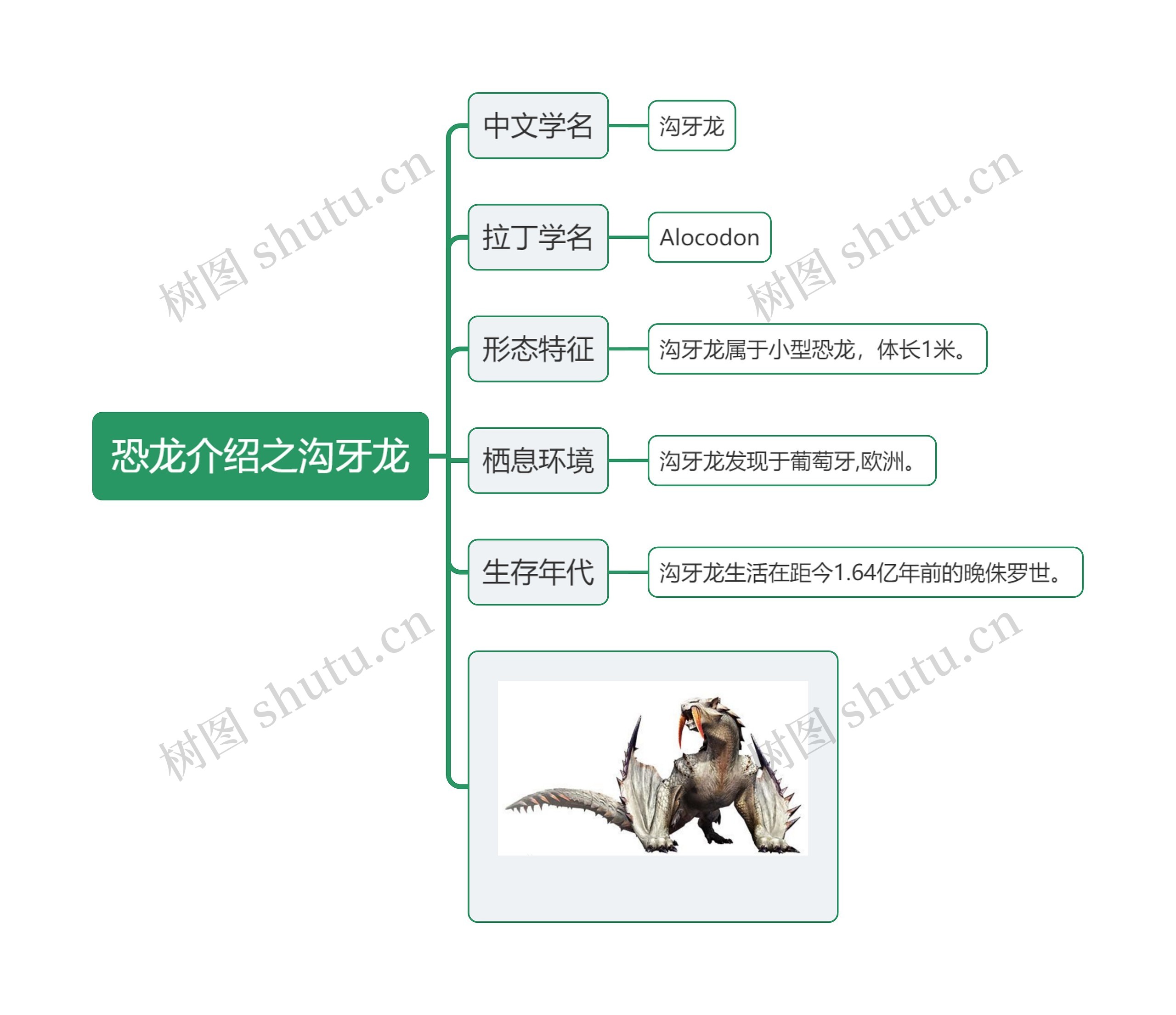 恐龙介绍之沟牙龙思维导图