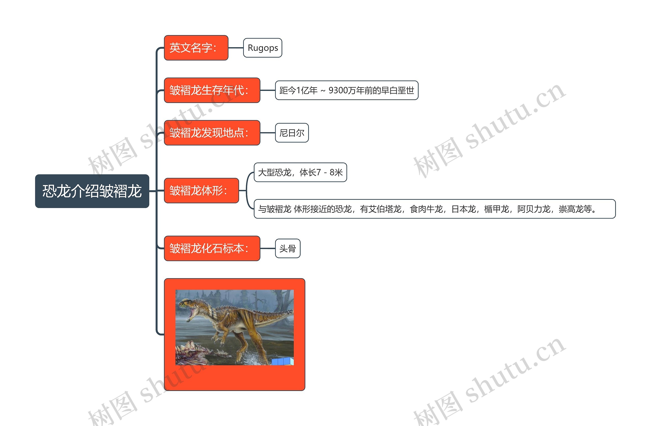 恐龙介绍皱褶龙思维导图