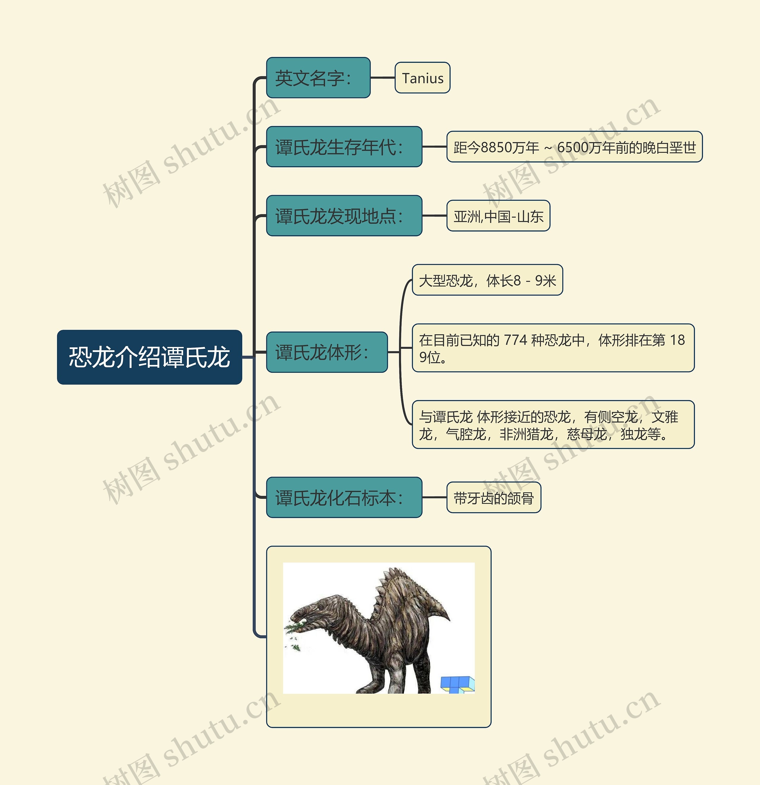 恐龙介绍谭氏龙