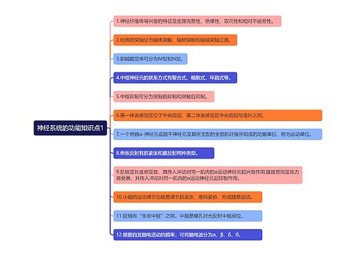 神经系统的功能知识点1