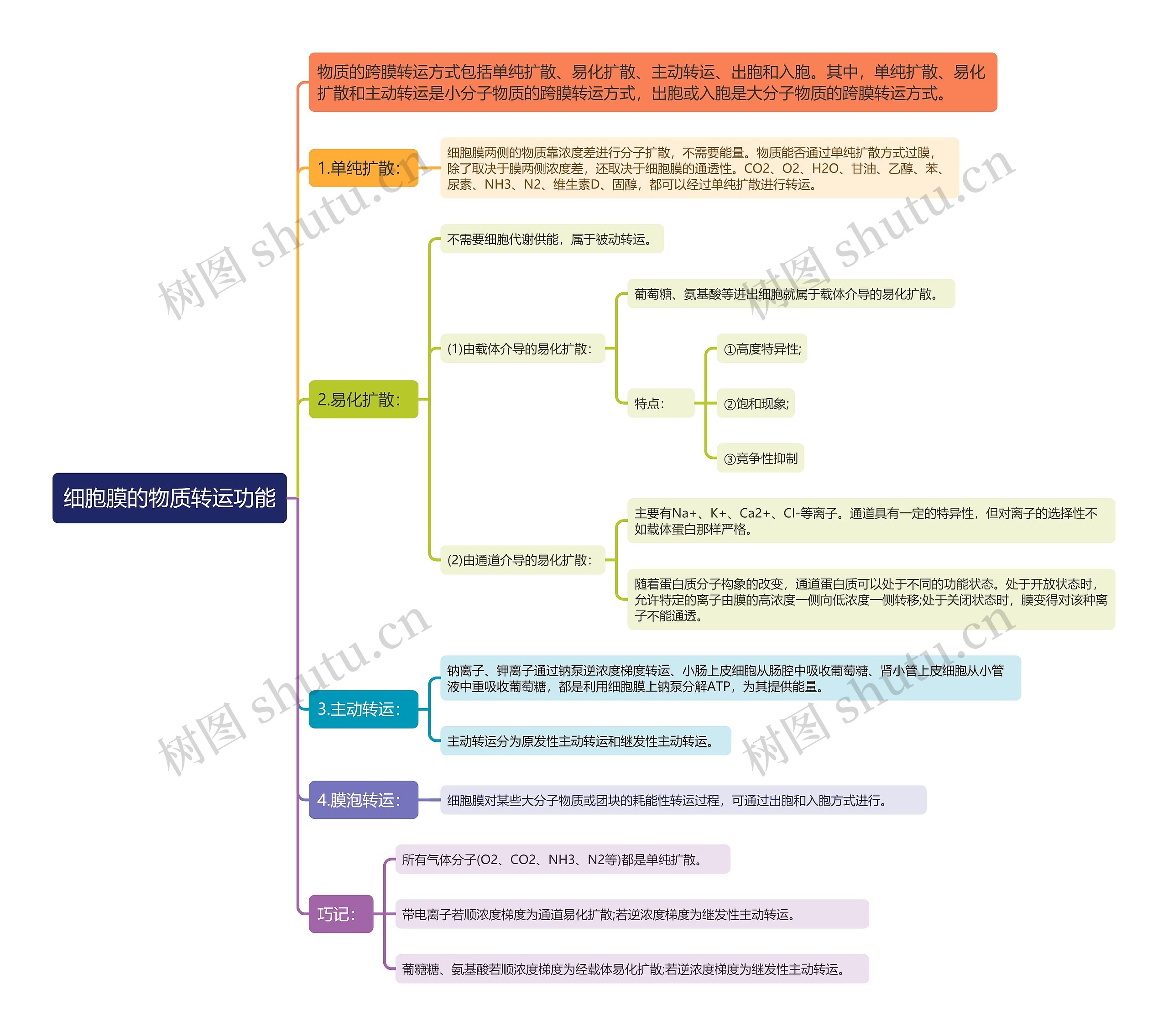 细胞膜的物质转运功能思维导图
