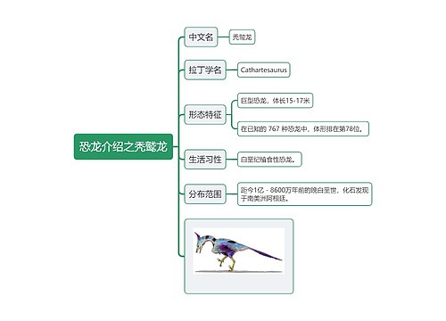 恐龙介绍之秃鹫龙思维导图