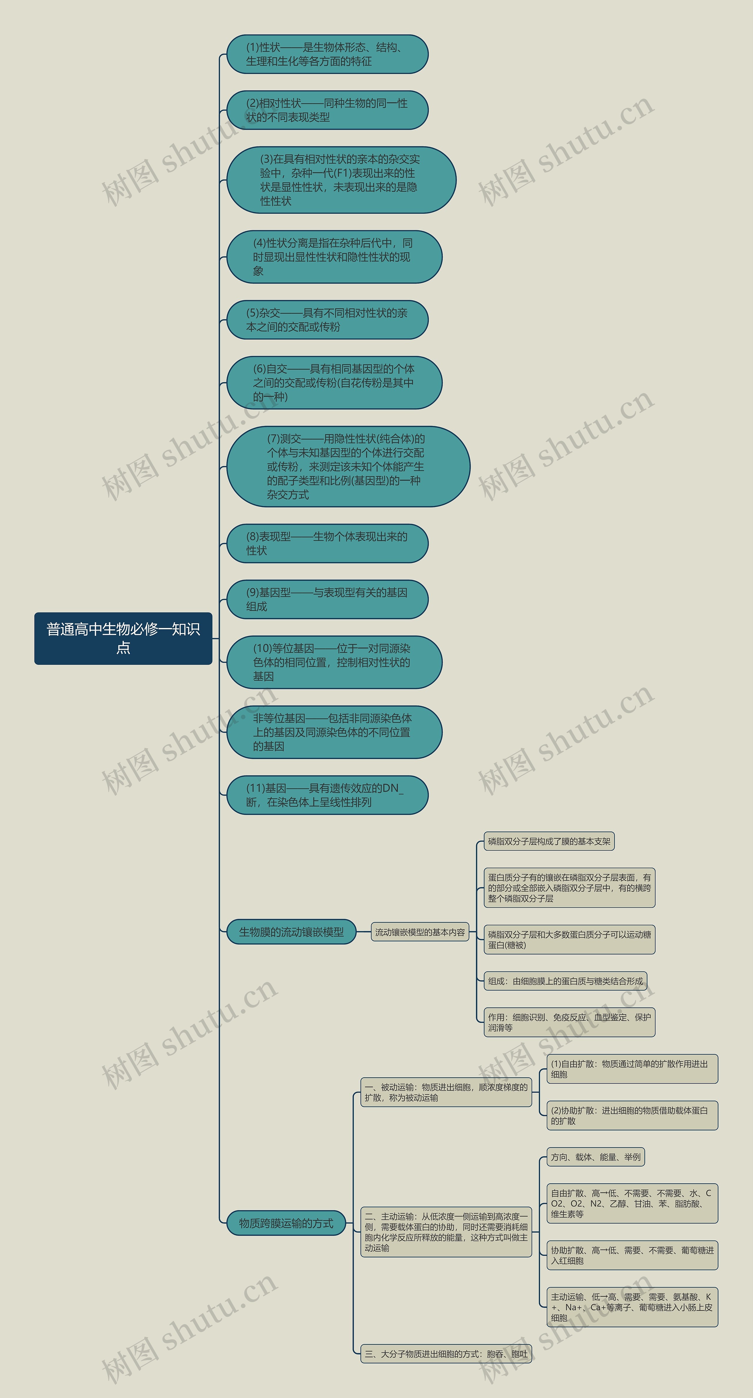 普通高中生物必修一知识点思维导图
