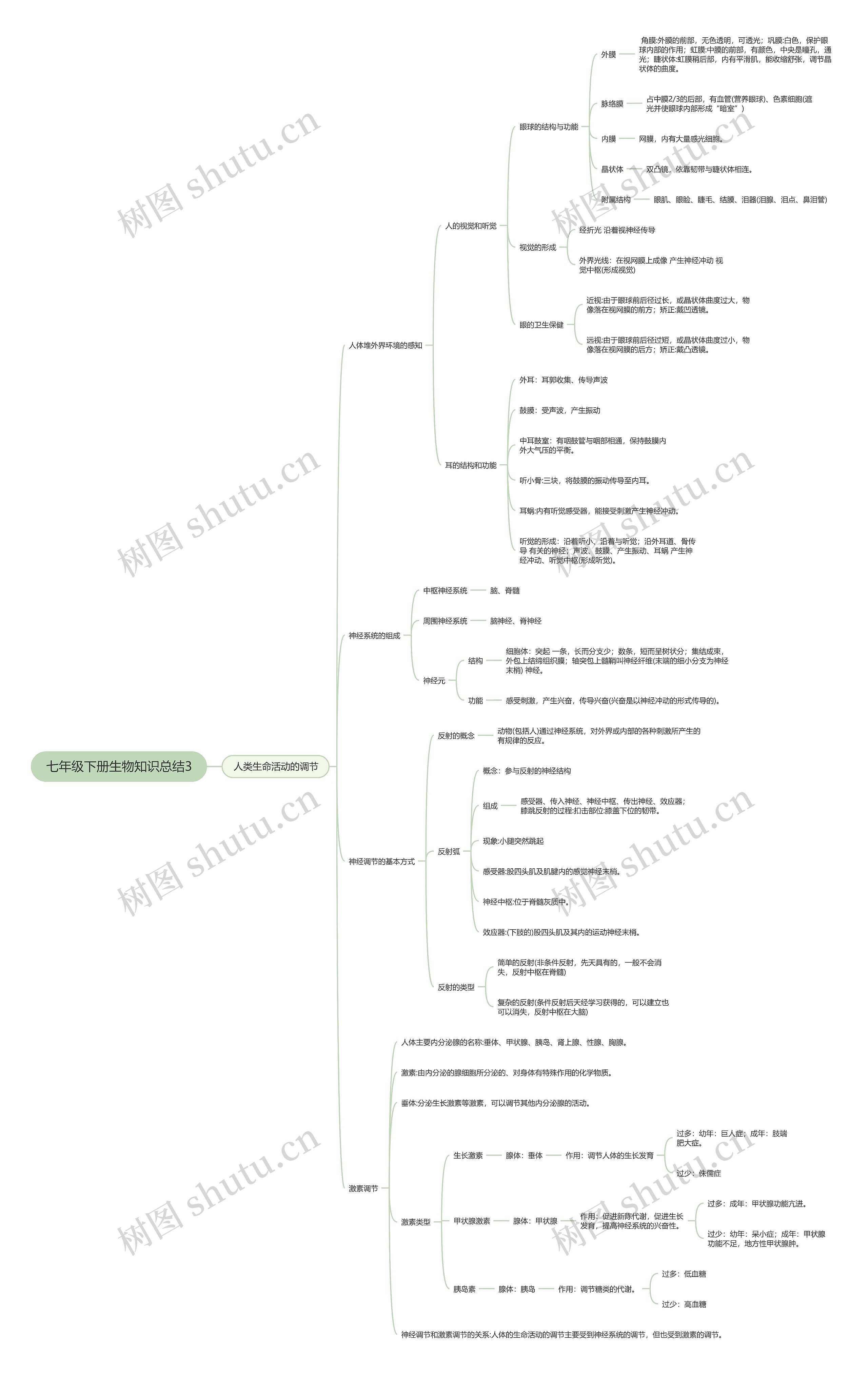 七年级下册生物知识总结3思维导图高清图 七年级下册生物知识总结3思维导图