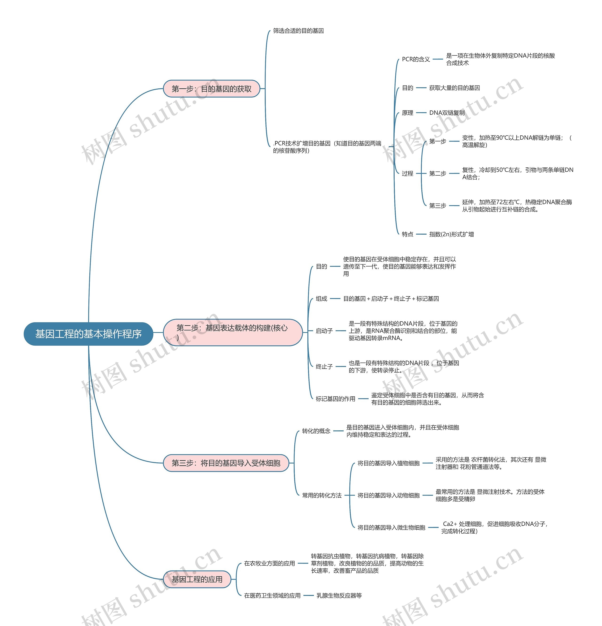 生物必修三  基因工程的基本操作程序思维导图