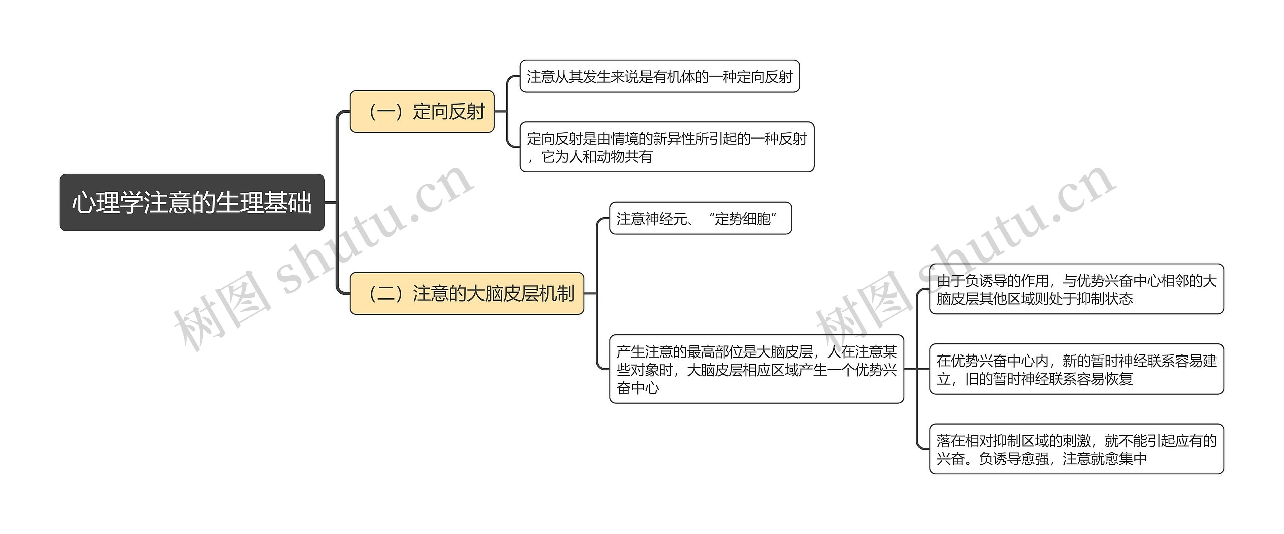 心理学注意的生理基础思维导图