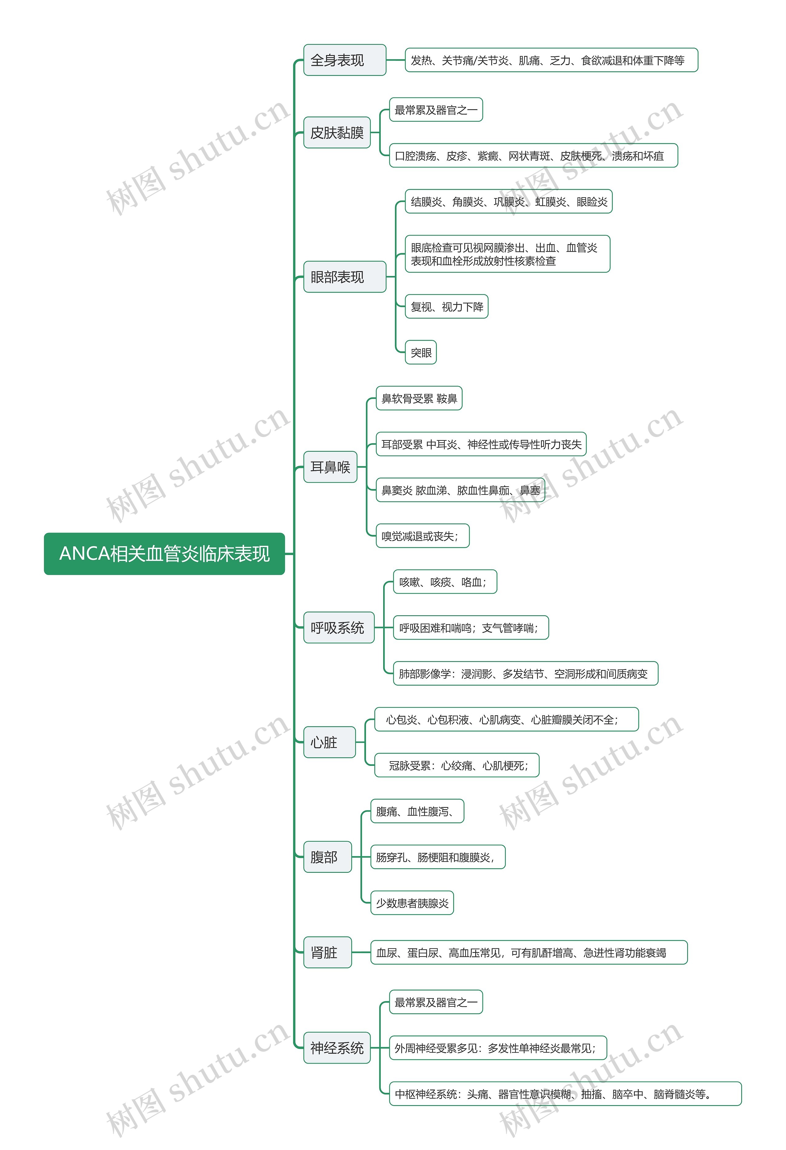 ANCA相关血管炎临床表现思维导图