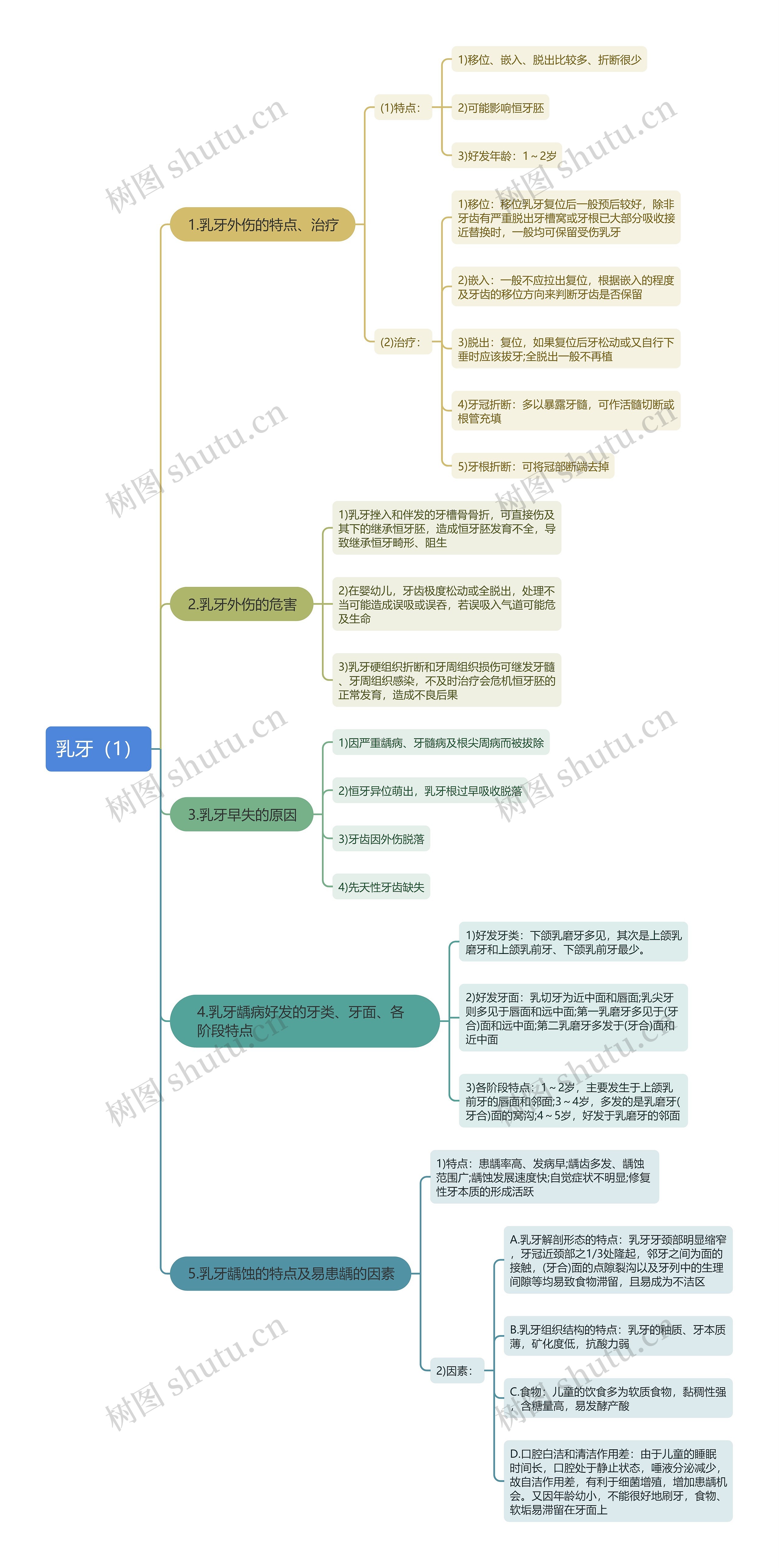 乳牙（1）思维导图