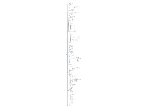 python学习重点框架思维导图