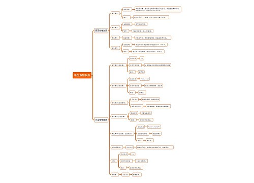 维生素知识点思维导图