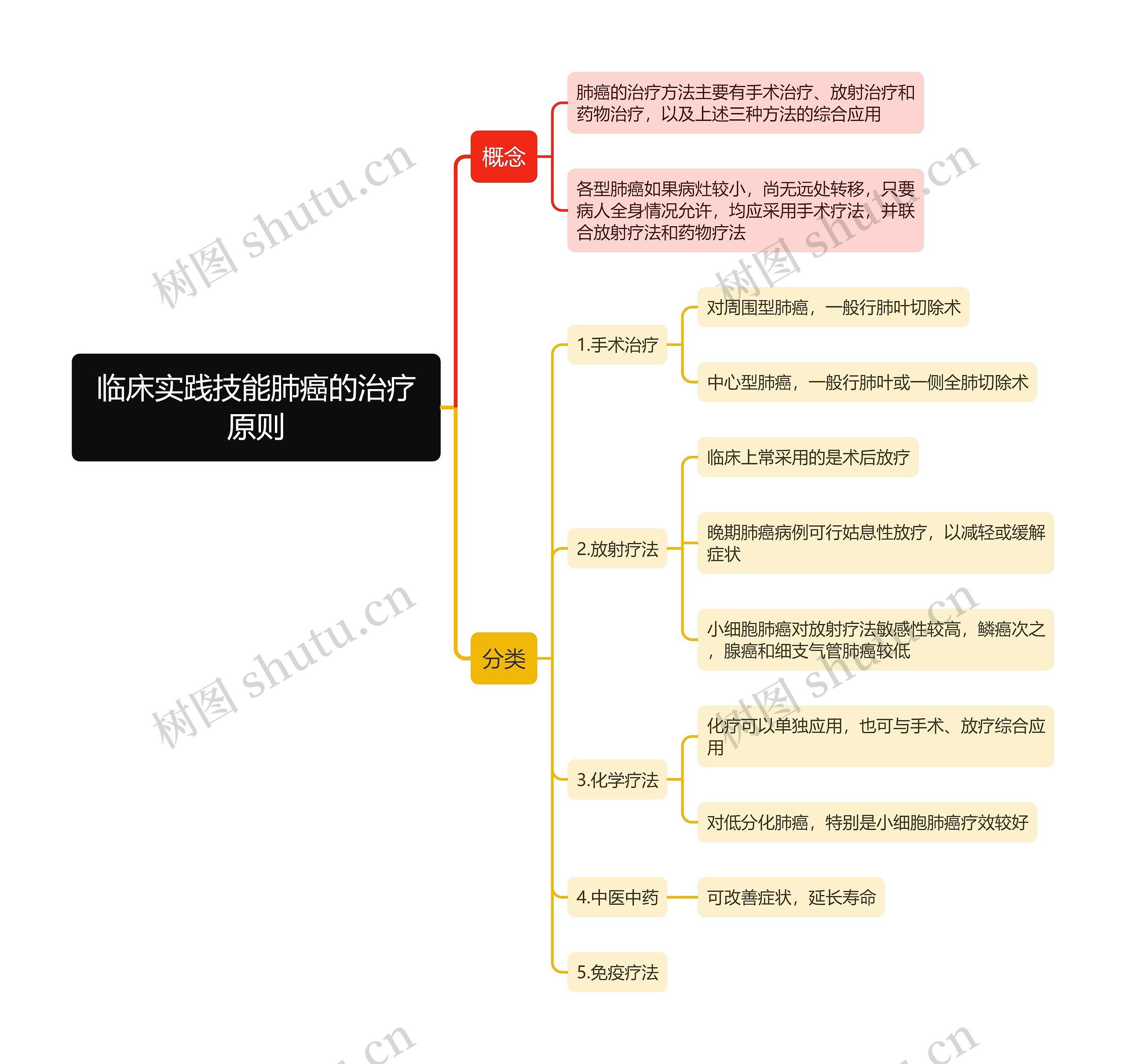 临床实践技能肺癌的治疗原则思维导图