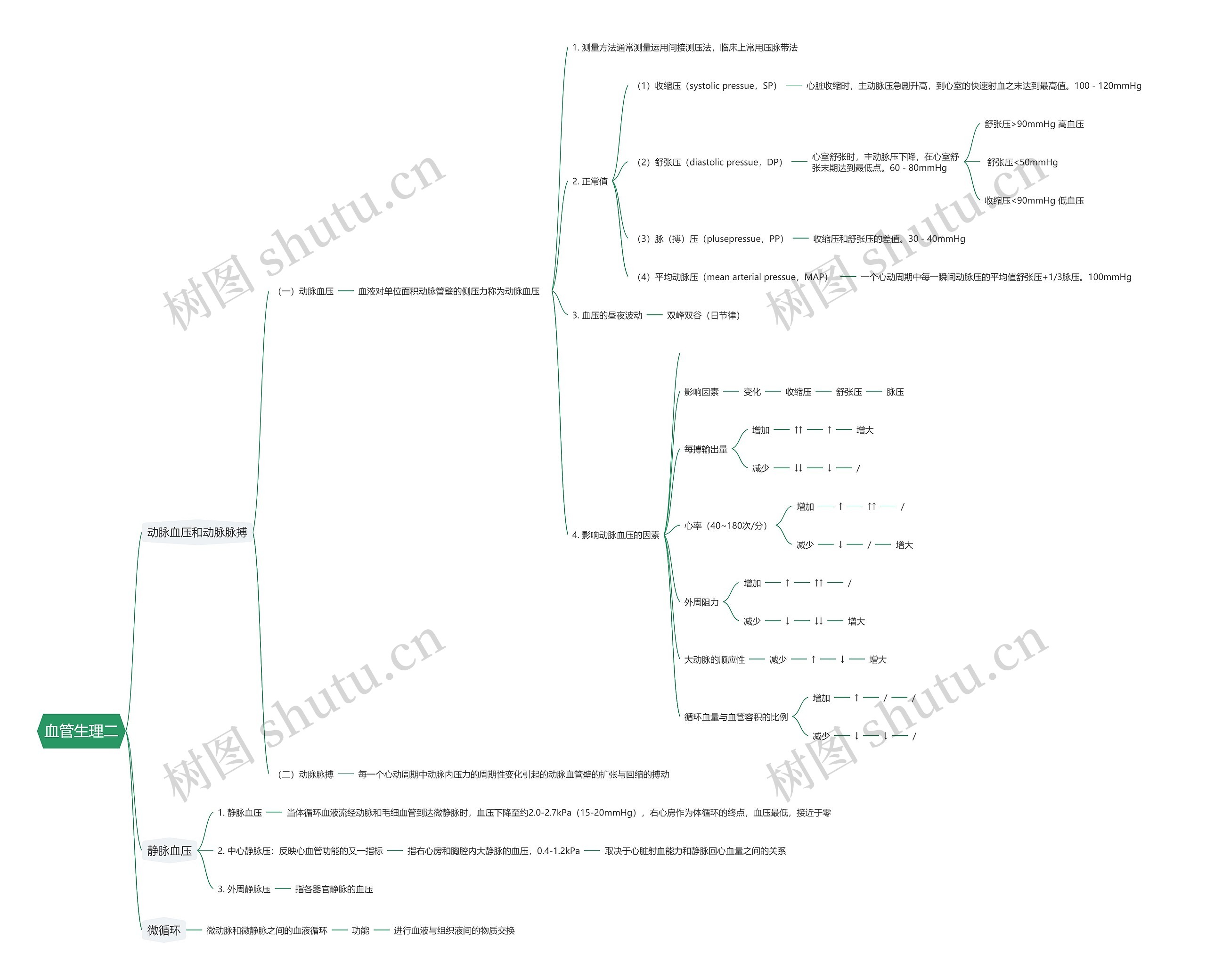 血管生理二思维导图