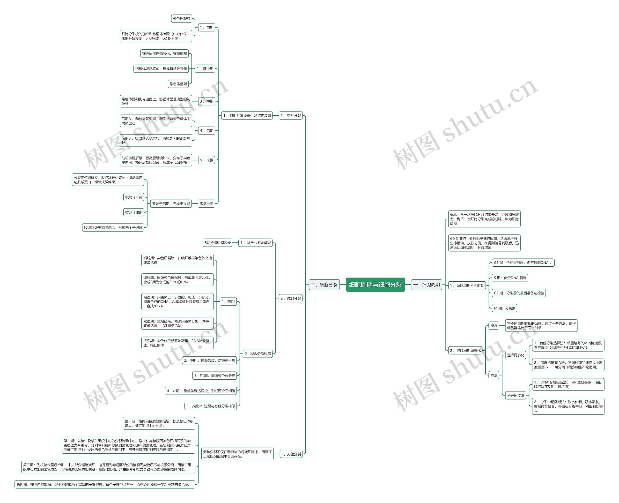 细胞周期与细胞分裂思维导图
