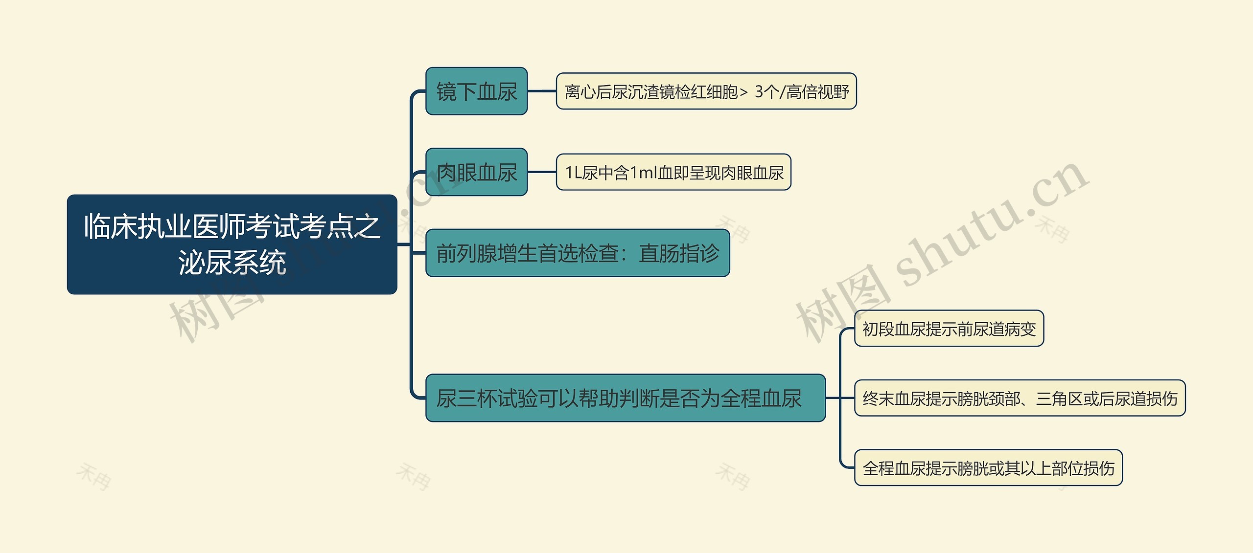 临床执业医师考试考点之泌尿系统思维导图