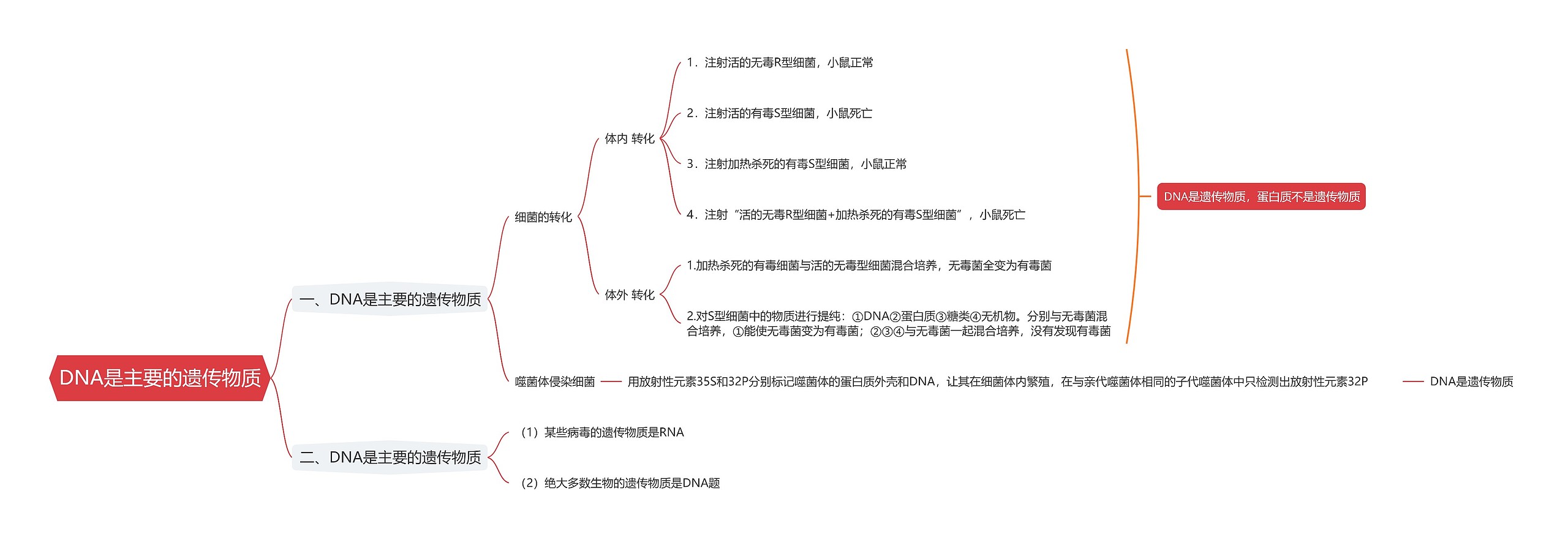 DNA是主要的遗传物质思维导图