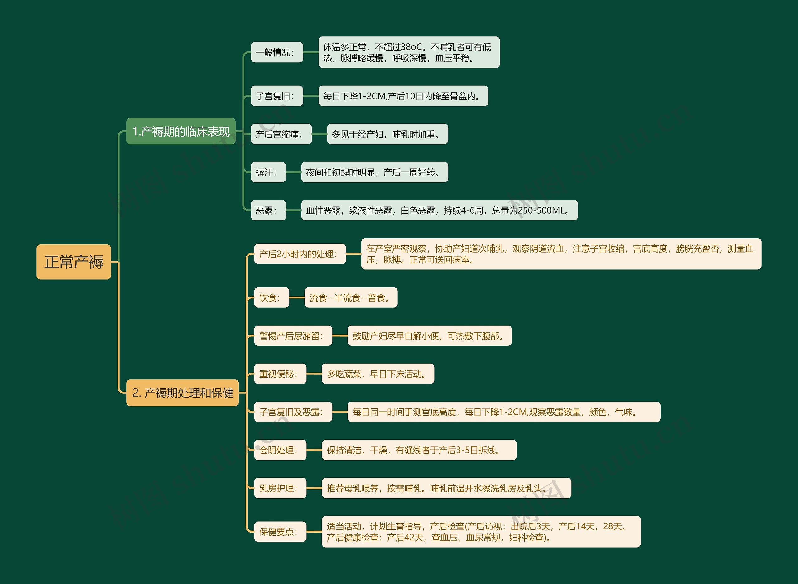 正常产褥知识点思维导图