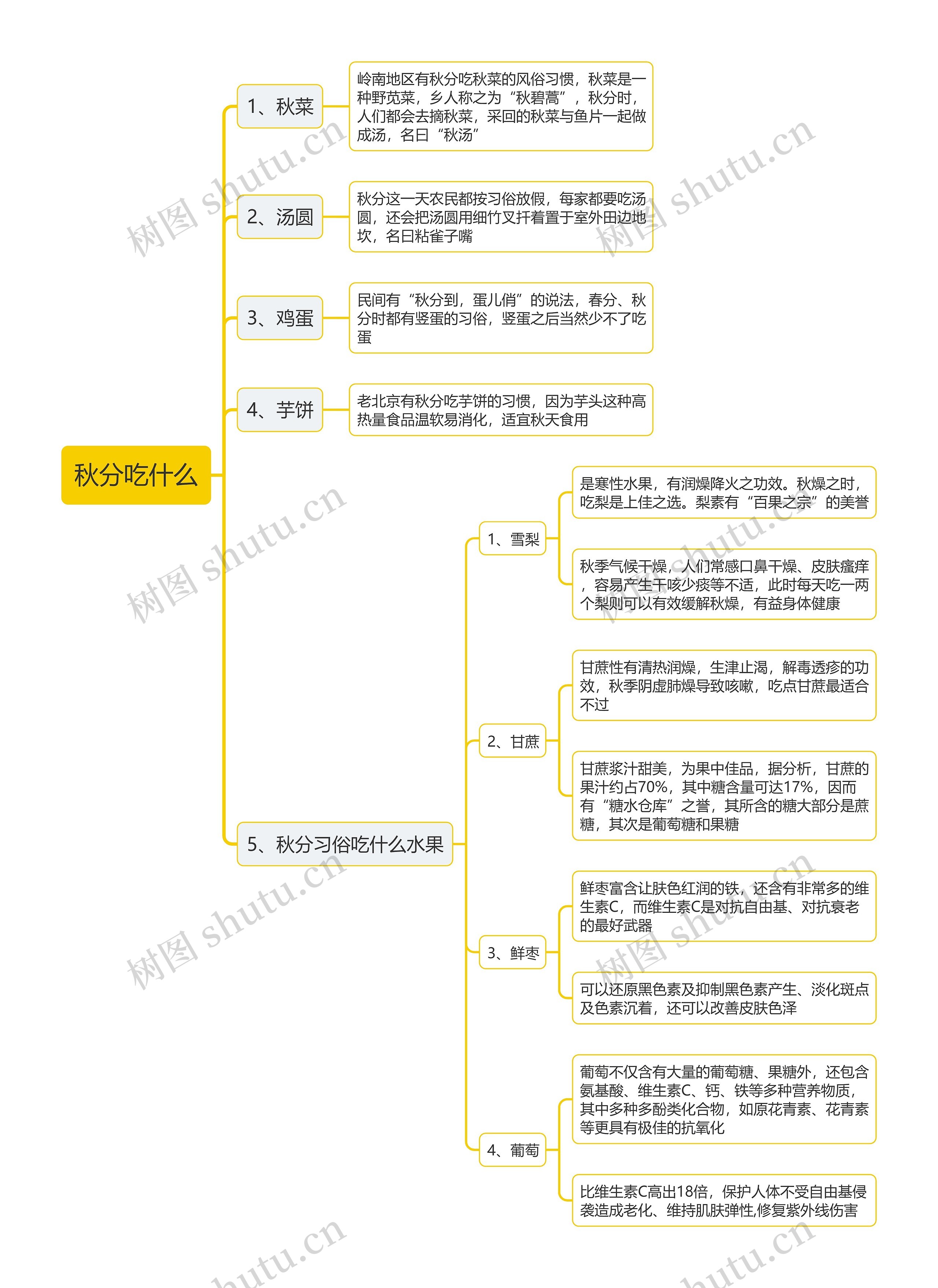 秋分吃什么思维导图