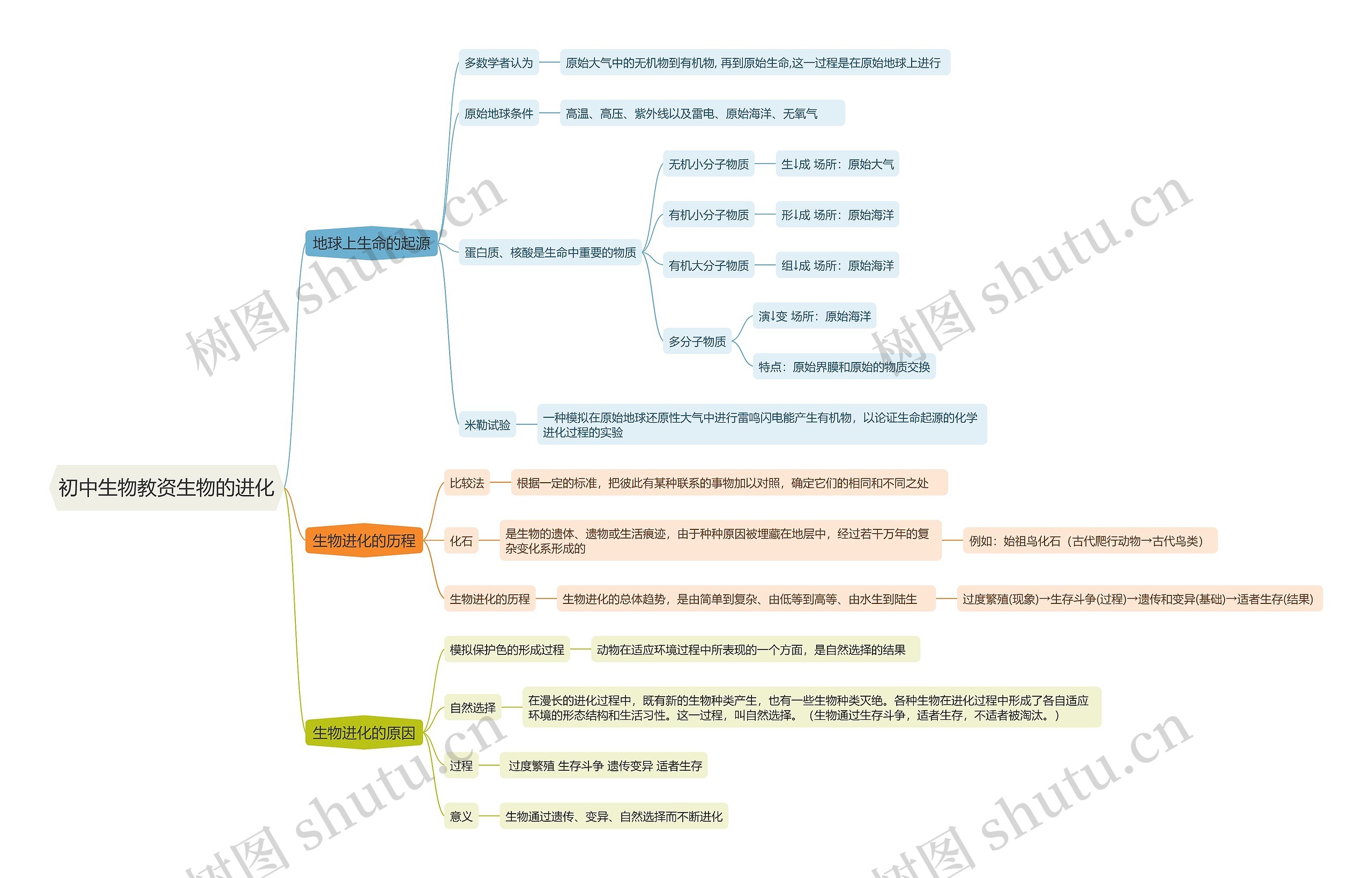 初中生物教资生物的进化思维导图