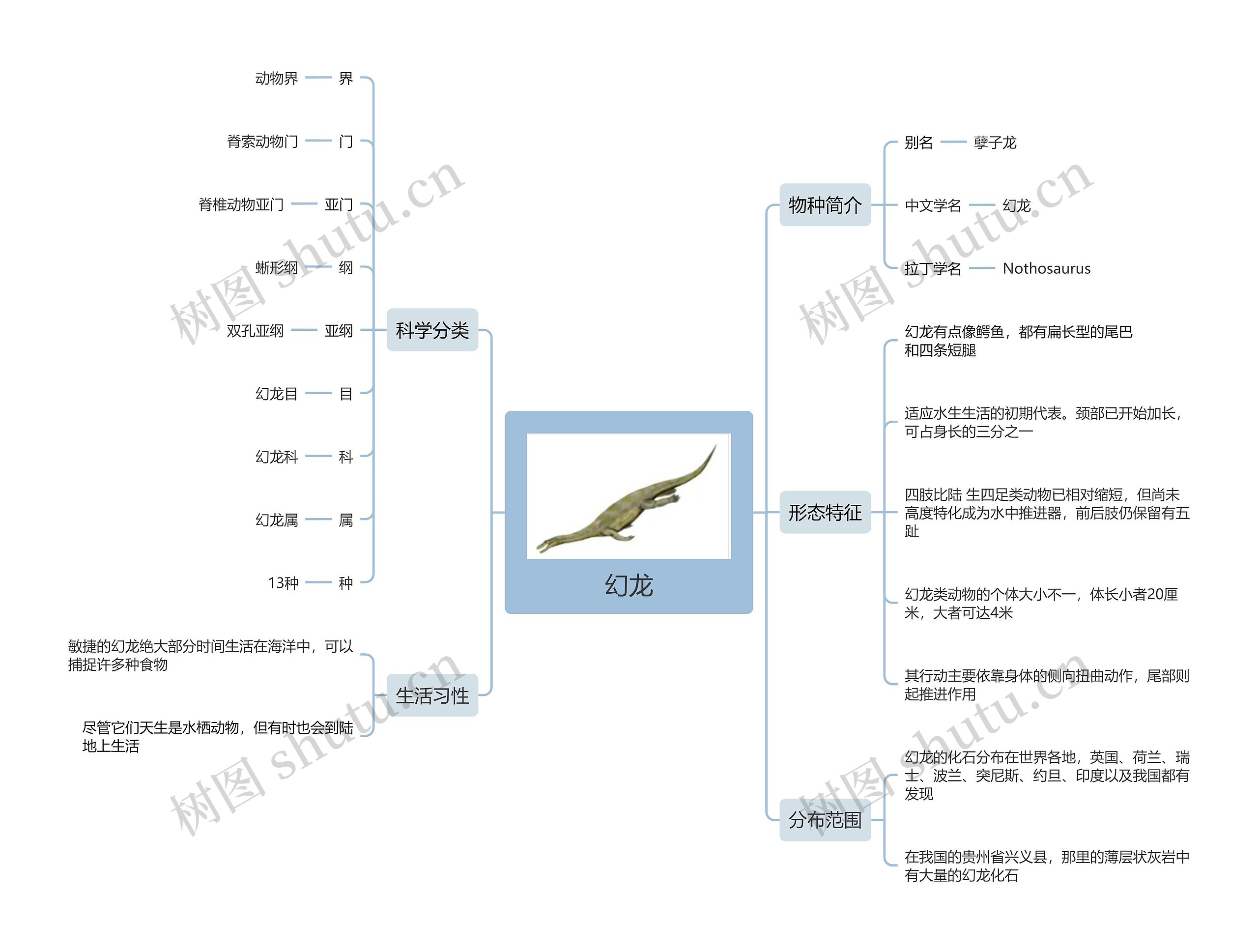 幻龙思维导图