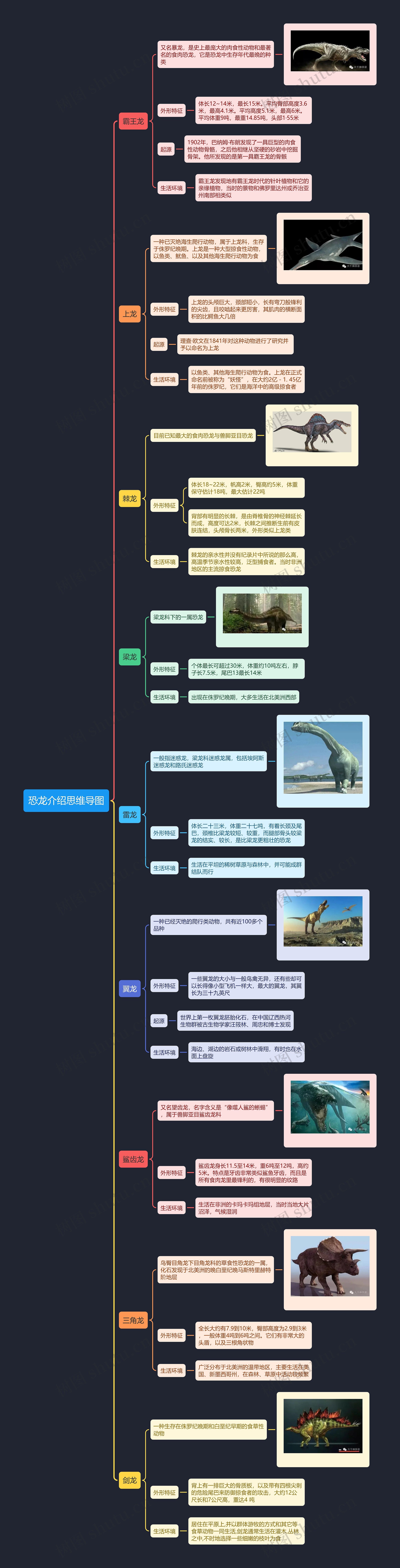 恐龙介绍思维导图