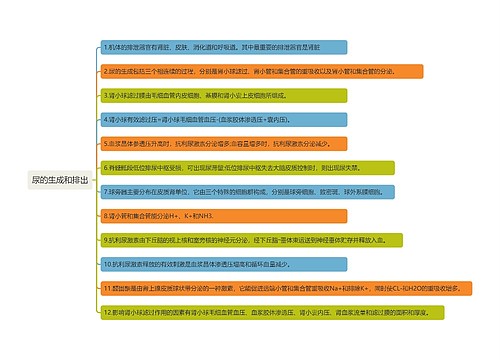 尿的生成和排出知识点