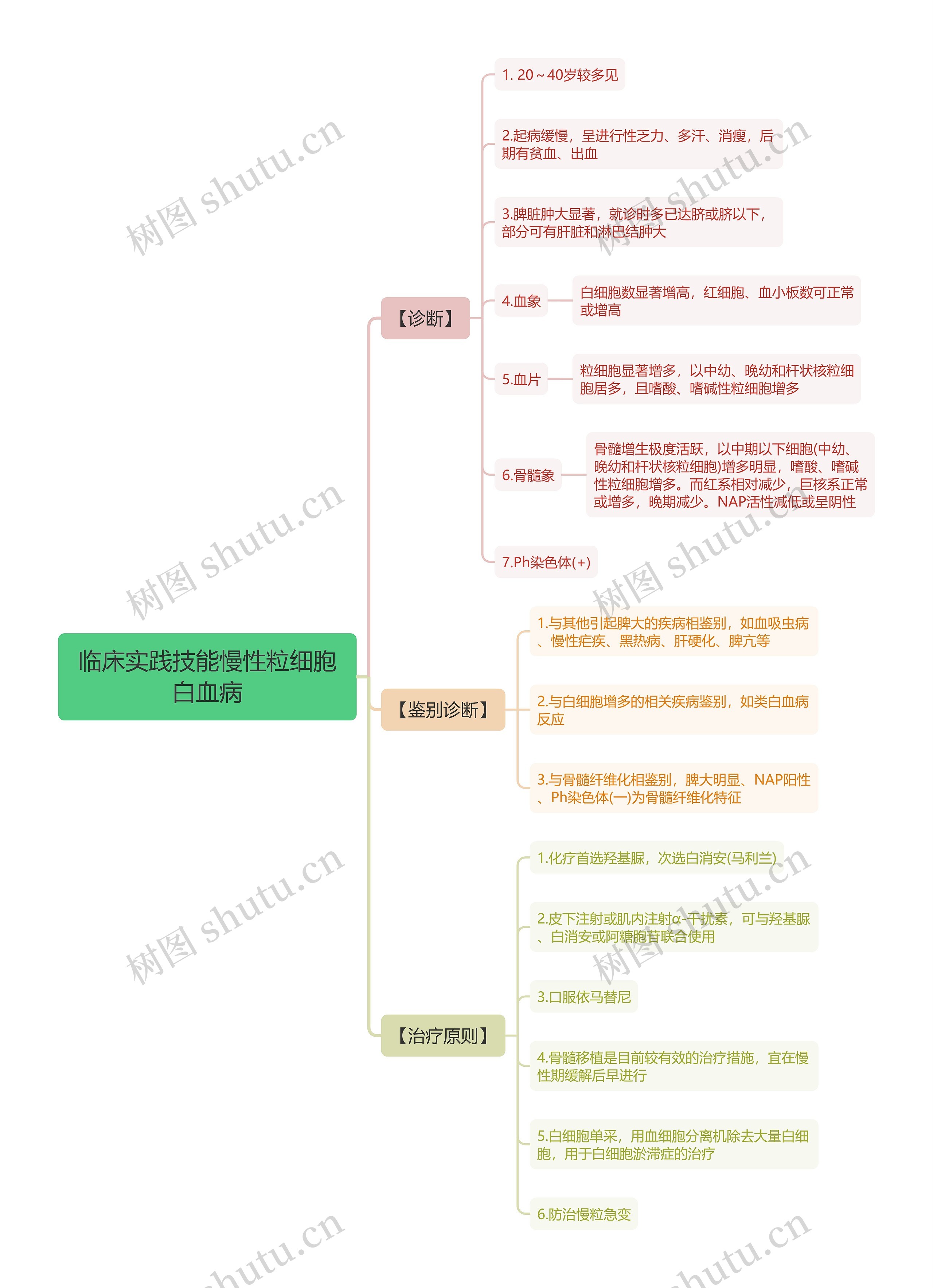 临床实践技能慢性粒细胞白血病思维导图