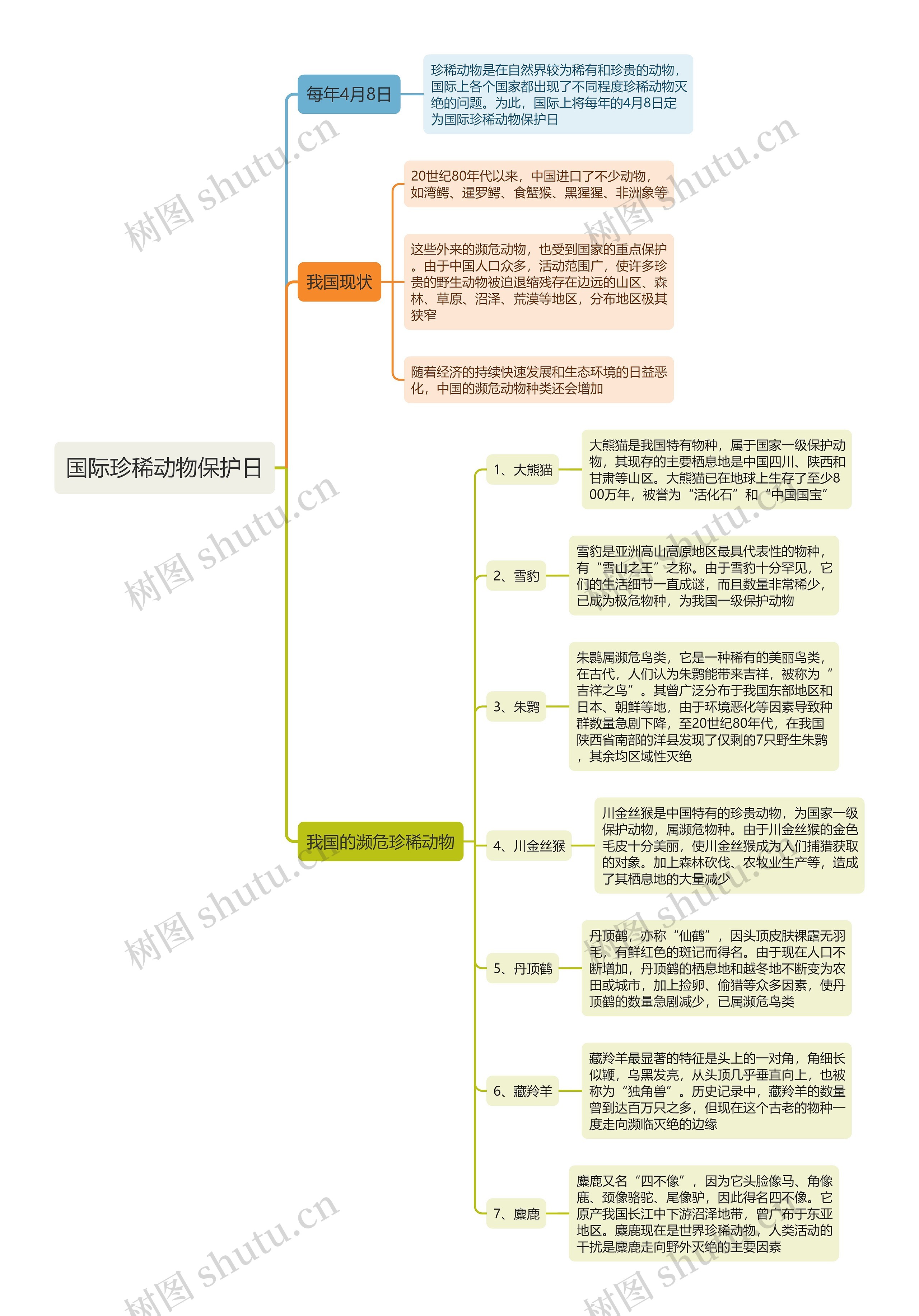 国际珍稀动物保护日思维导图