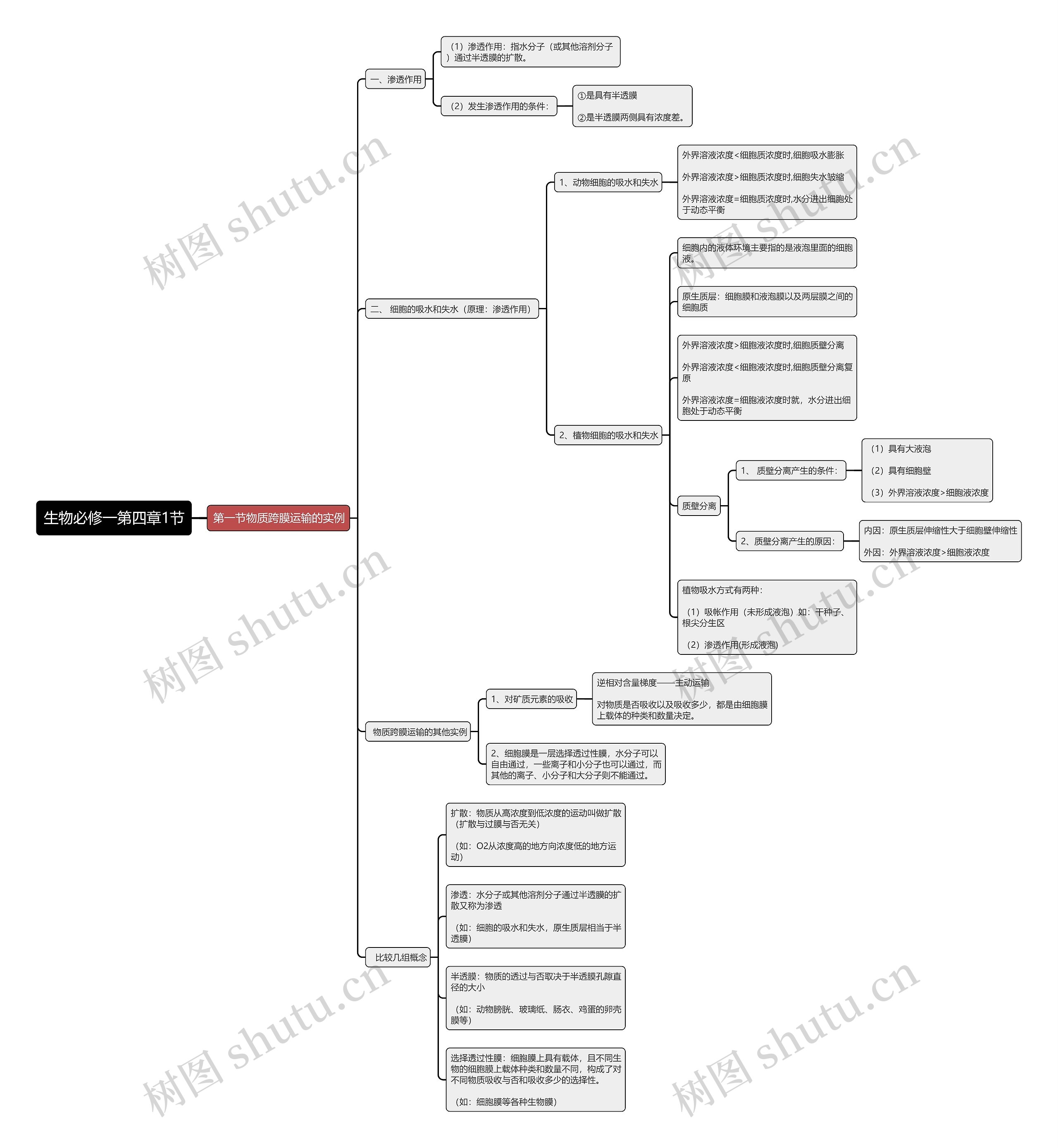 生物必修一第四章1节思维导图高清图 生物必修一第四章1节思维导图