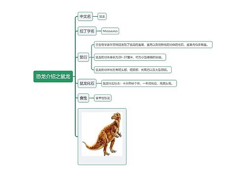 恐龙介绍之鼠龙思维导图