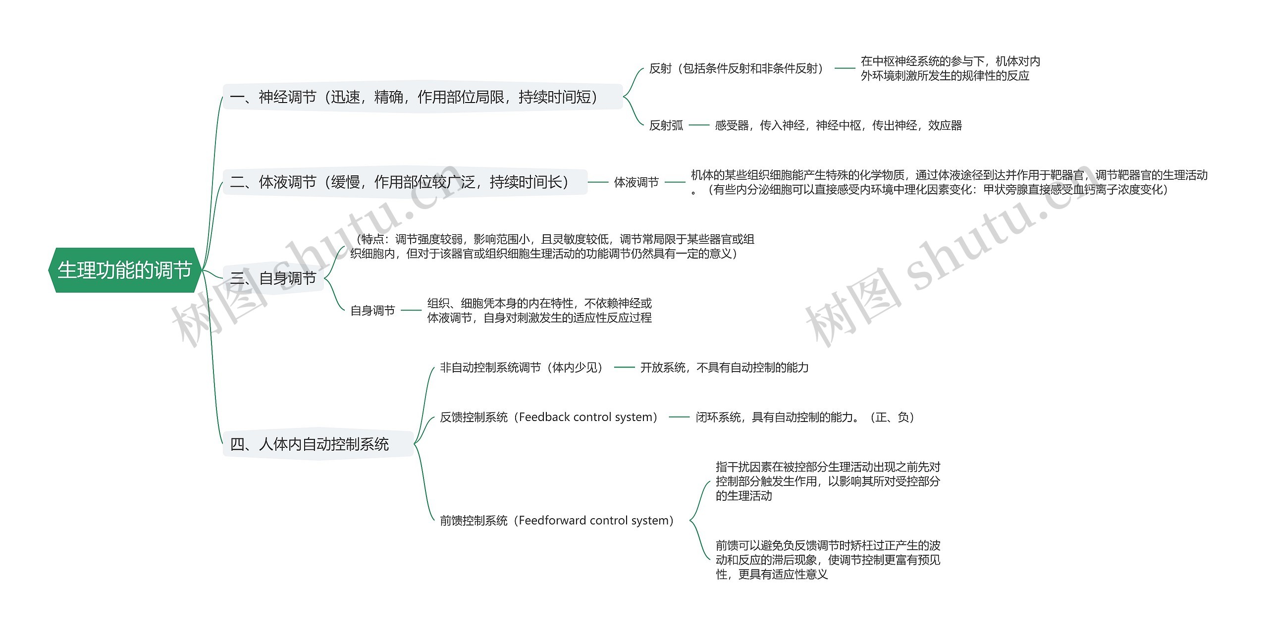 生理功能的调节思维导图