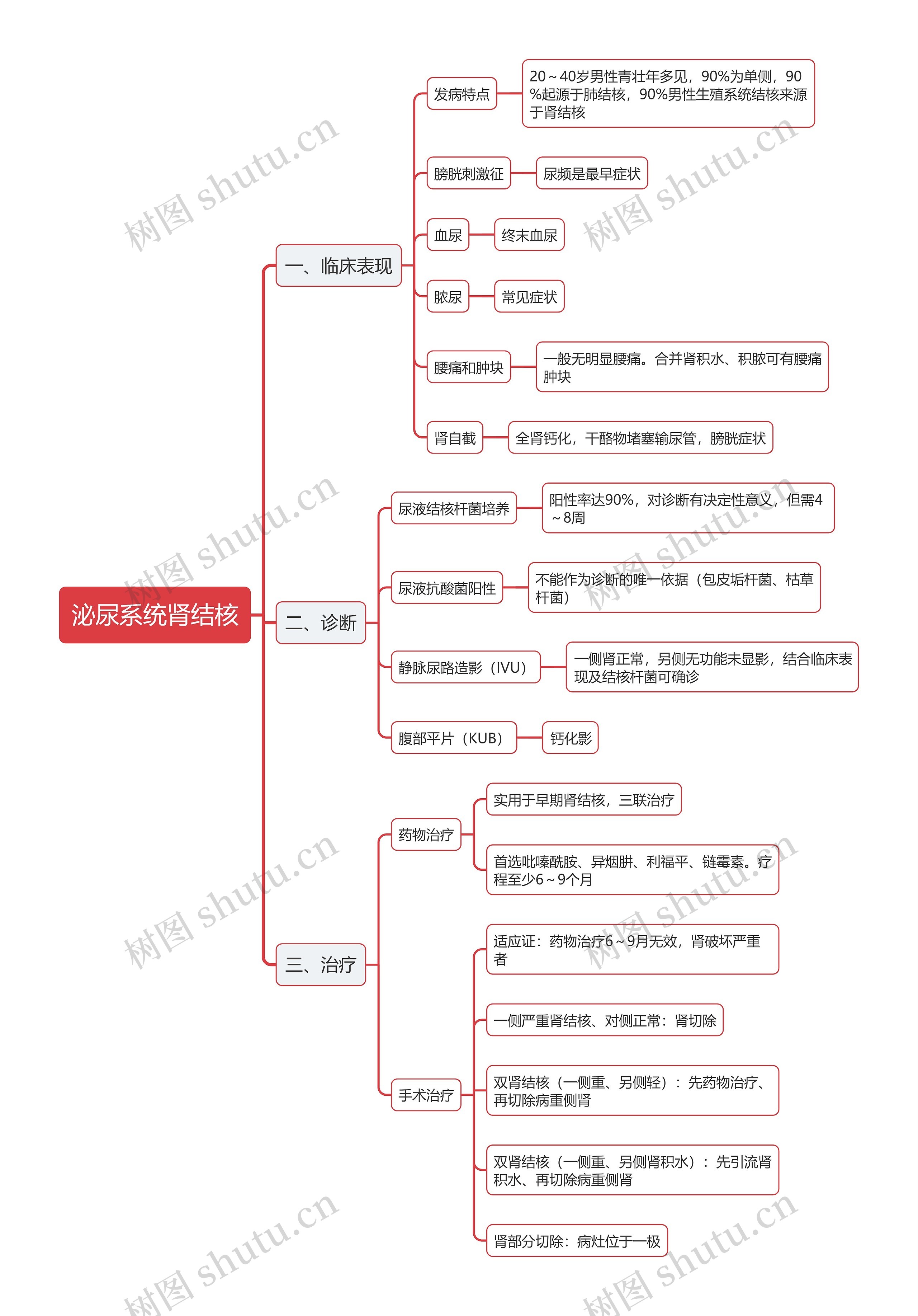 泌尿系统肾结核思维导图