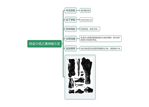 恐龙介绍之澳洲南方龙思维导图