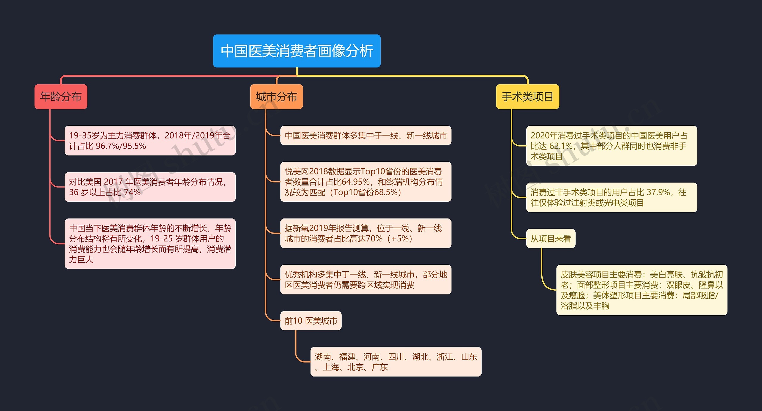 中国医美消费者画像分析思维导图