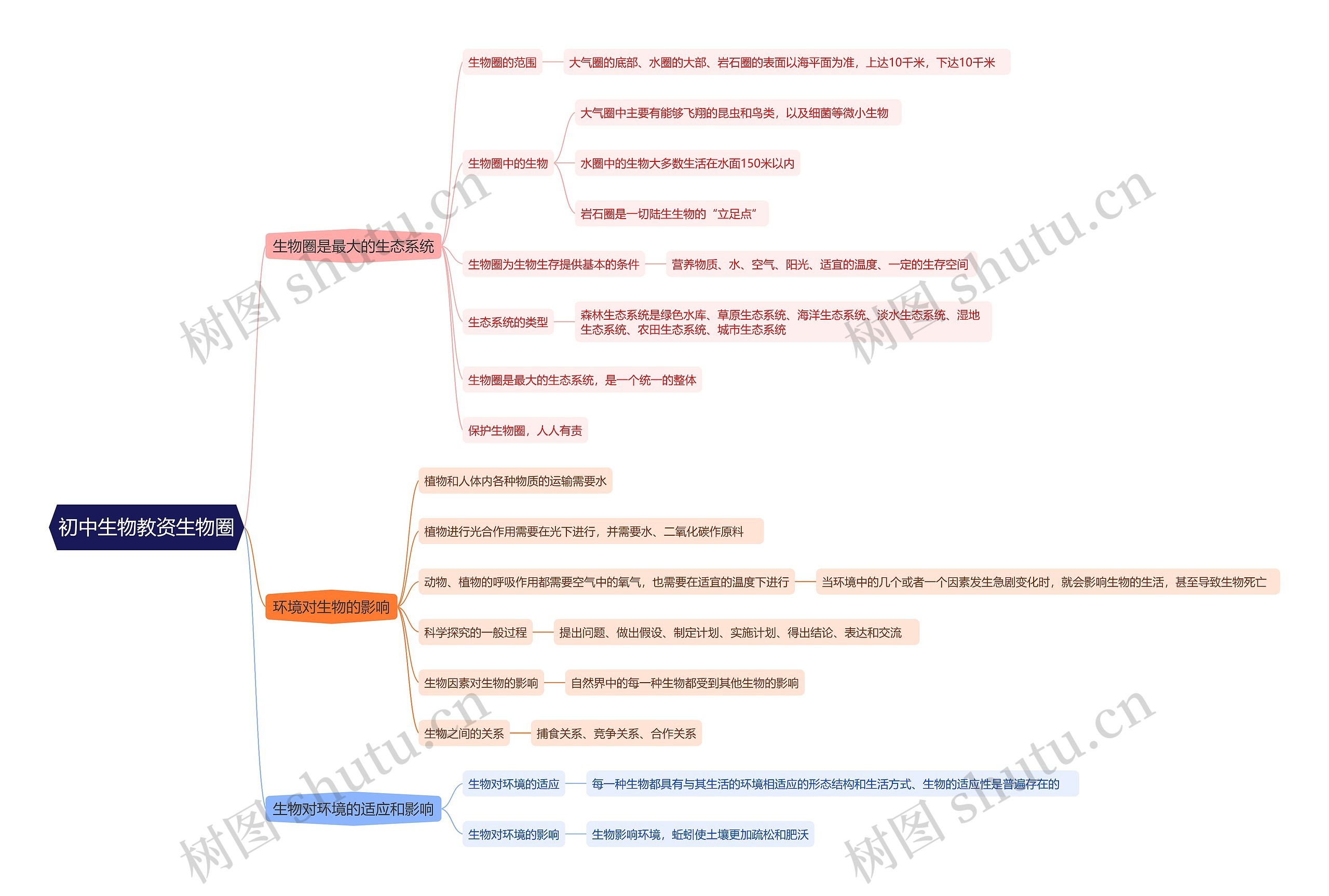 初中生物教资生物圈思维导图