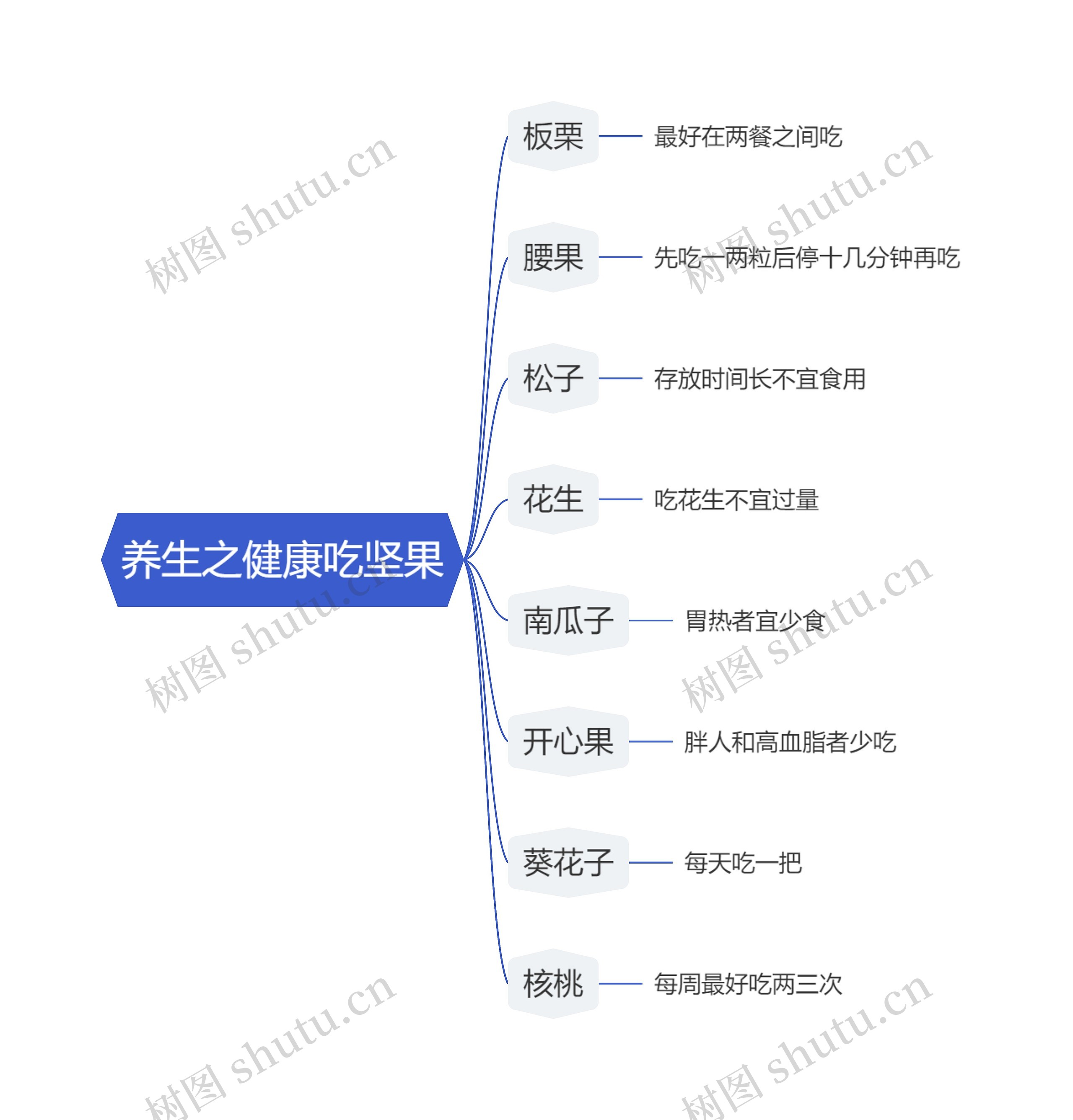 养生之健康吃坚果思维导图