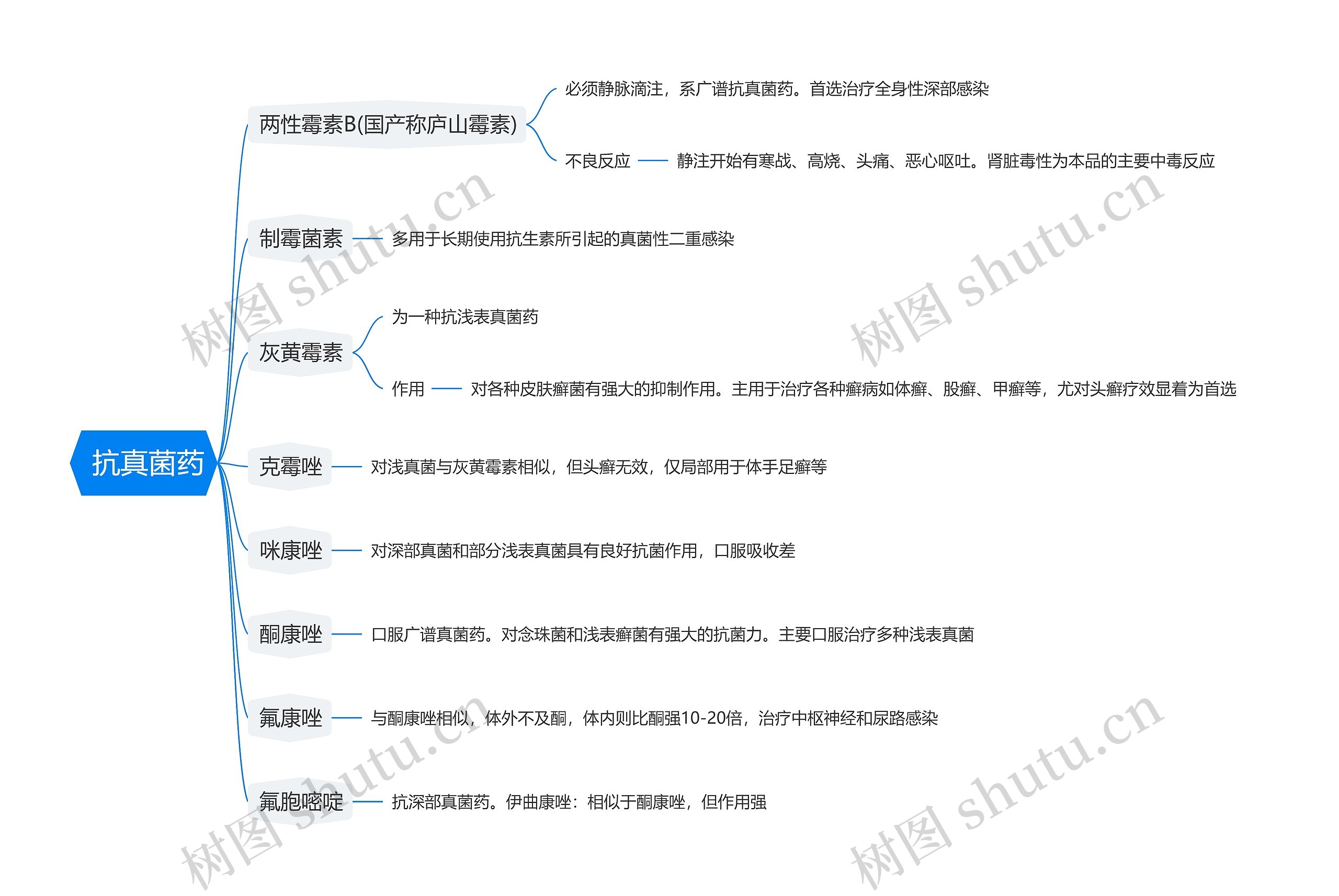 抗真菌药思维导图高清图 抗真菌药思维导图