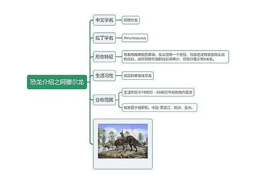 恐龙介绍之阿穆尔龙思维导图