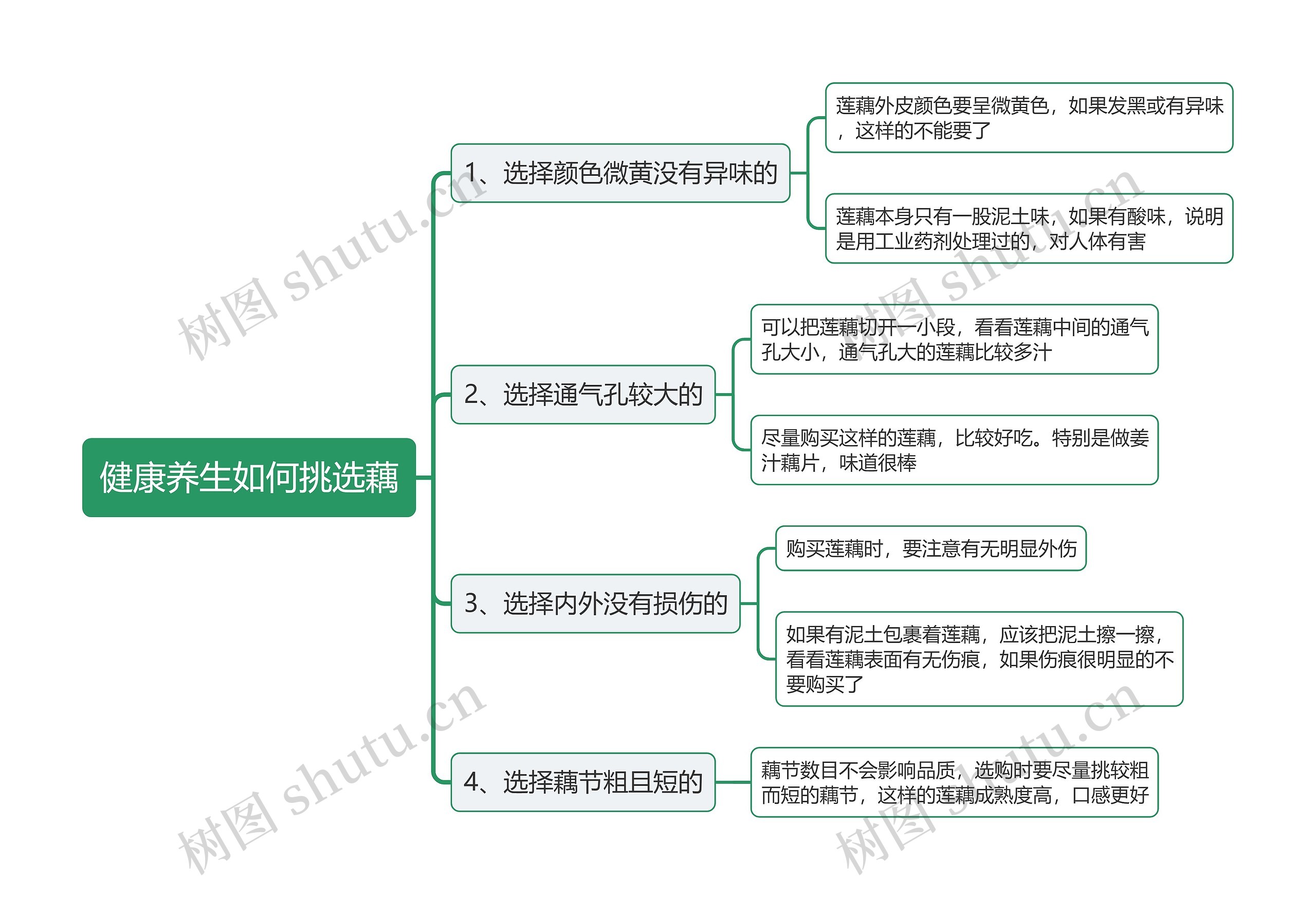 健康养生如何挑选藕思维导图