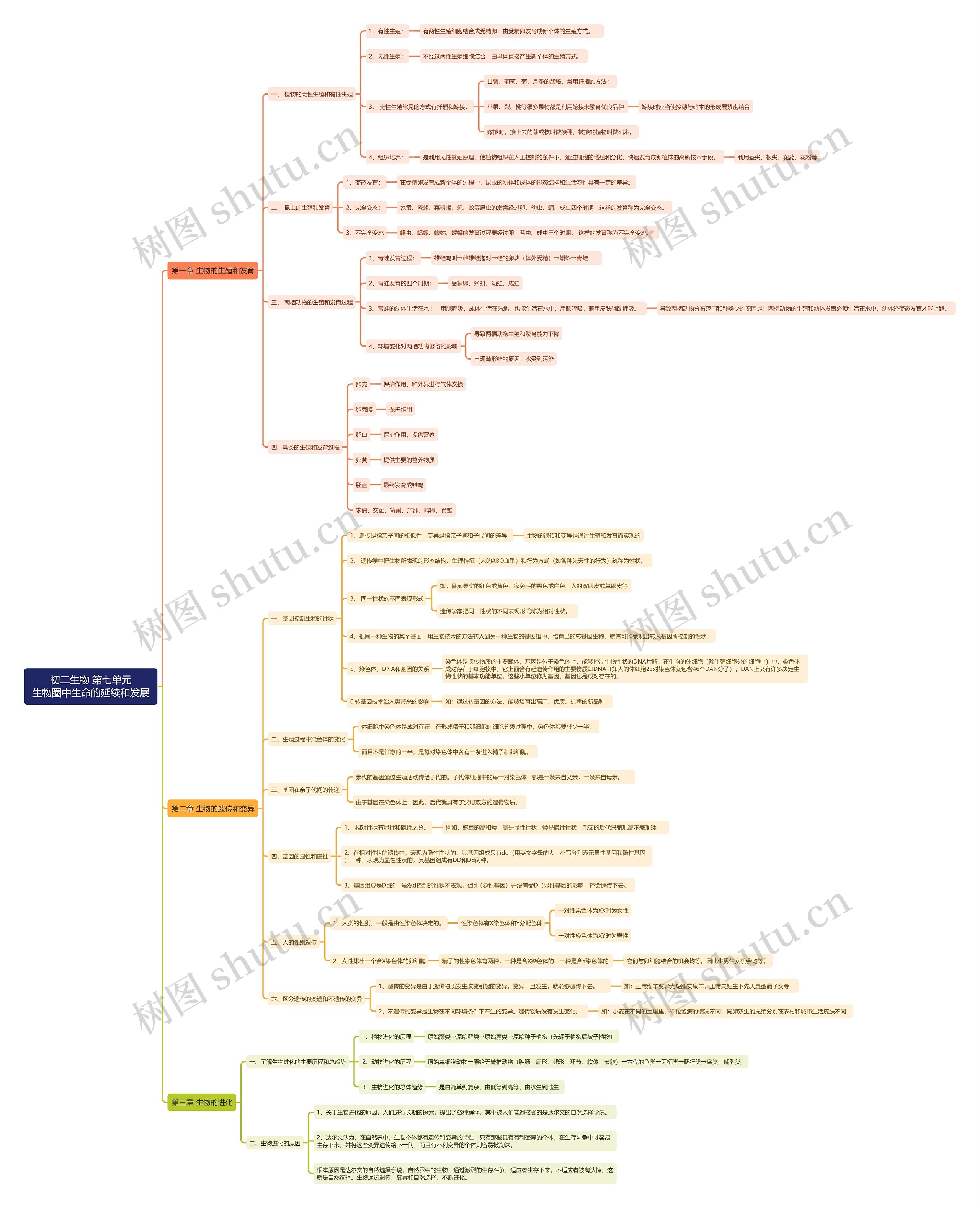 初二生物第七单元思维导图