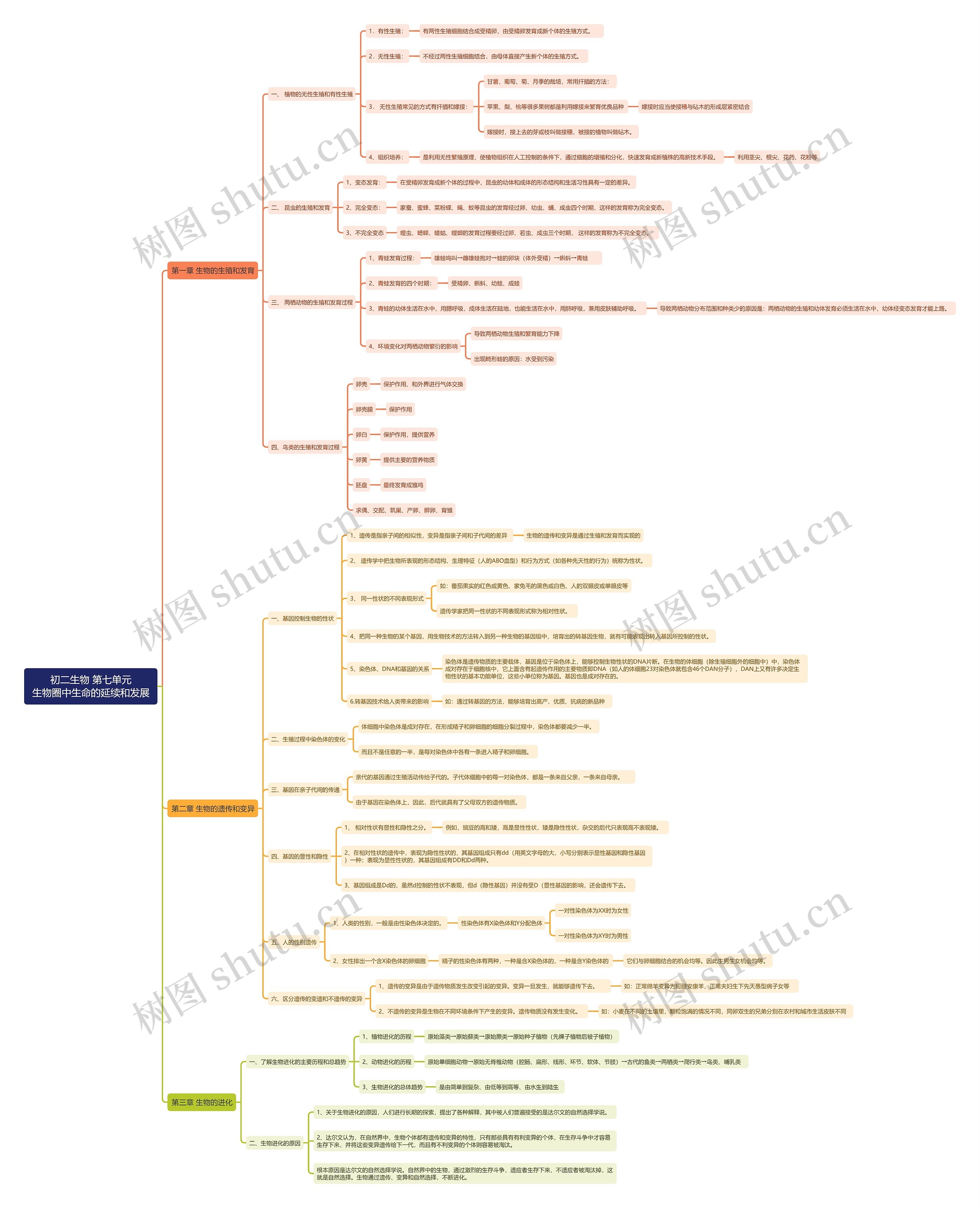 初二生物第七单元思维导图高清图 初二生物第七单元思维导图
