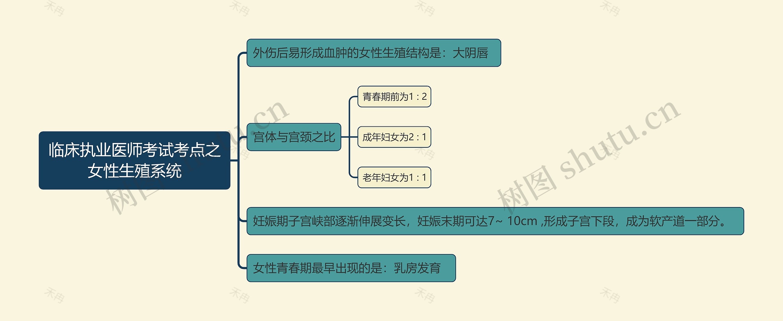 临床执业医师考试考点之女性生殖系统思维导图