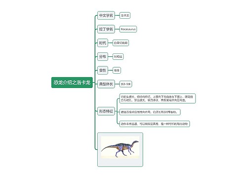 恐龙介绍之洛卡龙思维导图