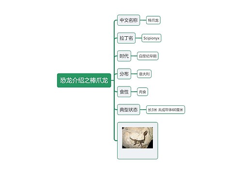 恐龙介绍之棒爪龙思维导图