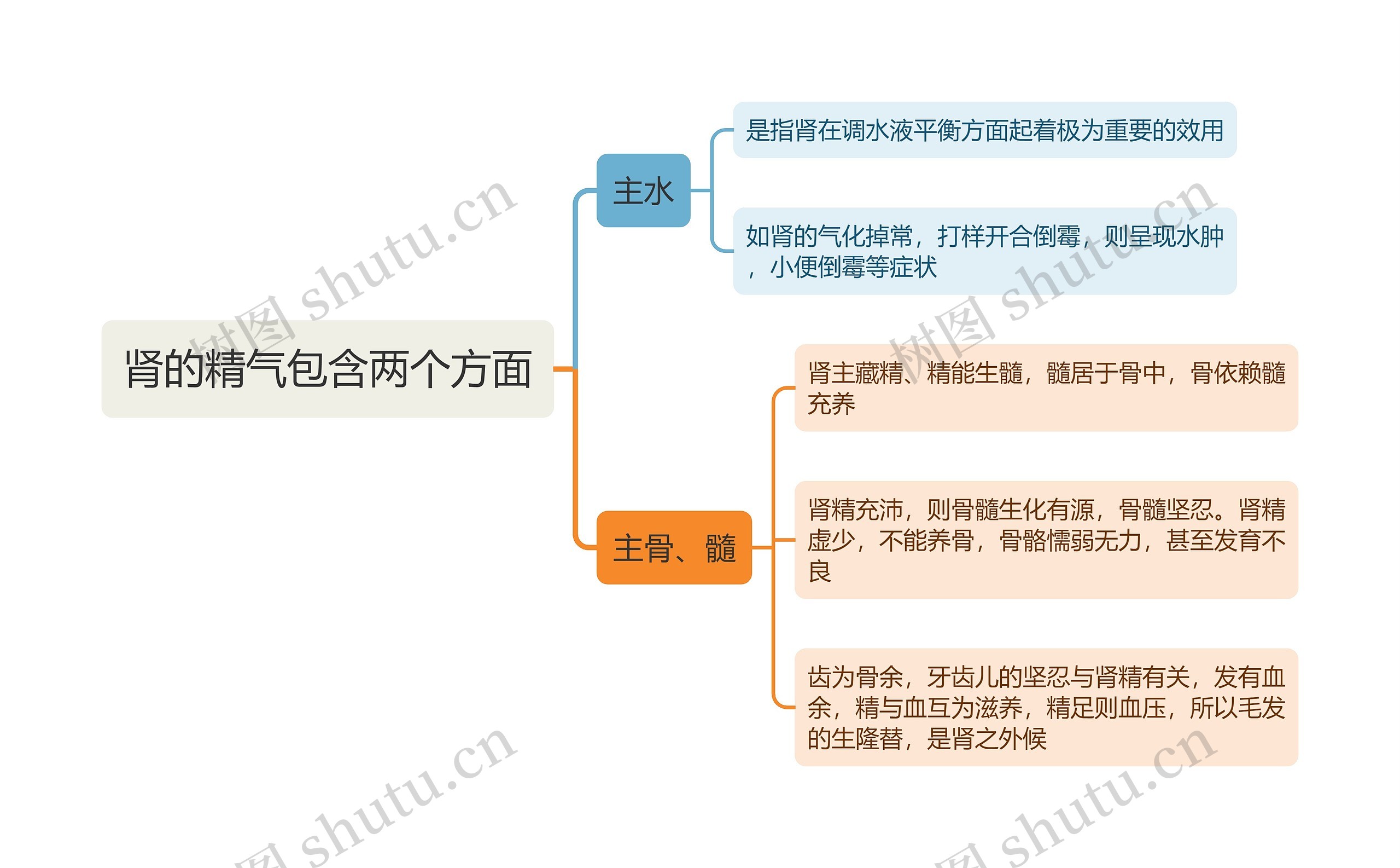 肾的精气包含两个方面思维导图