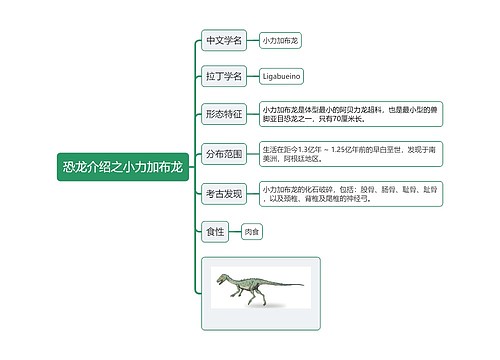 恐龙介绍之小力加布龙思维导图