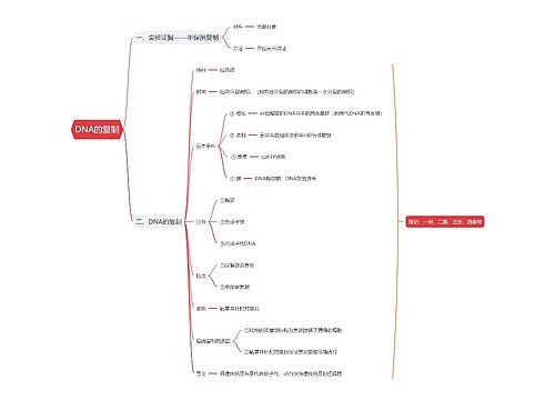 DNA的复制思维导图