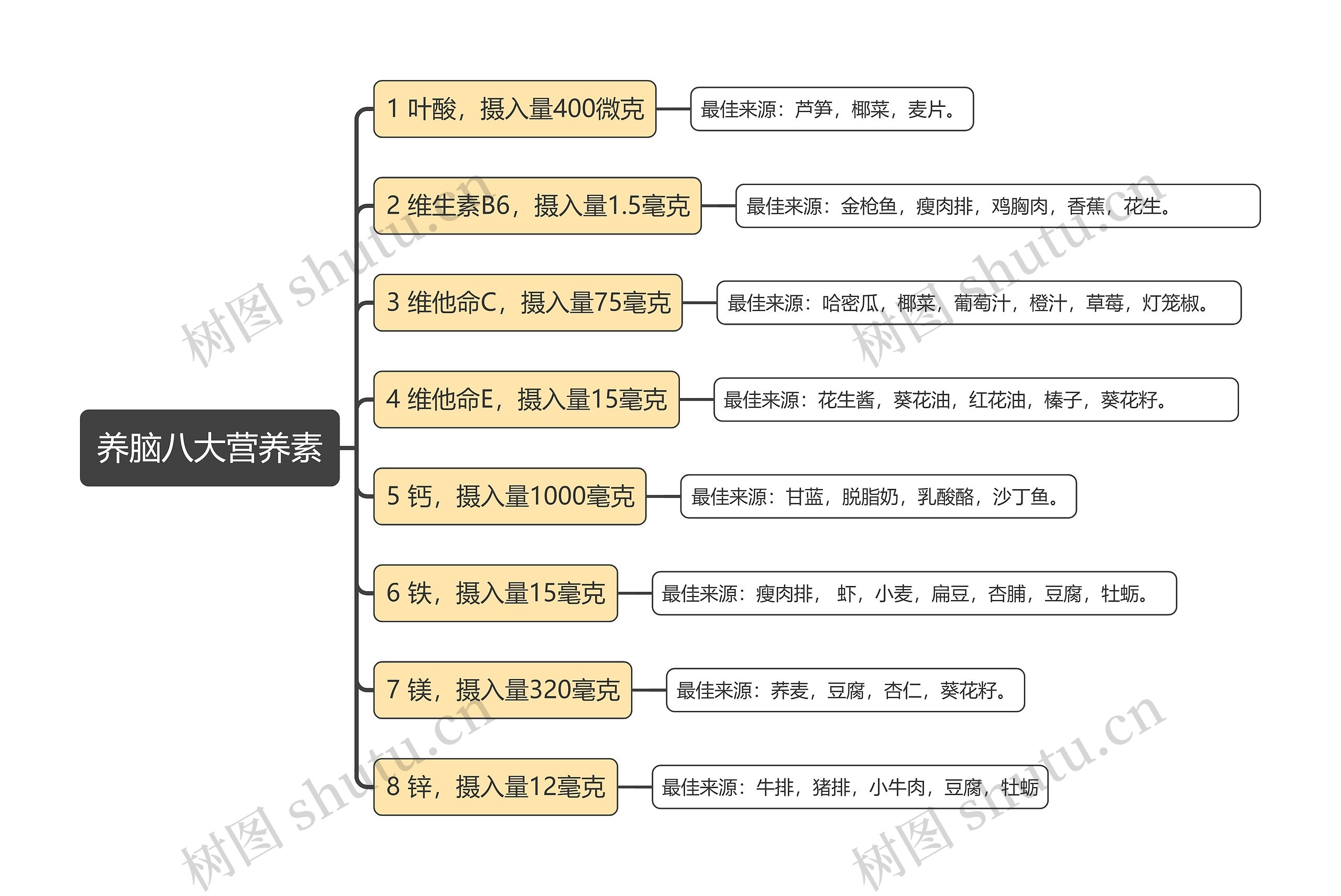 养脑八大营养素思维导图