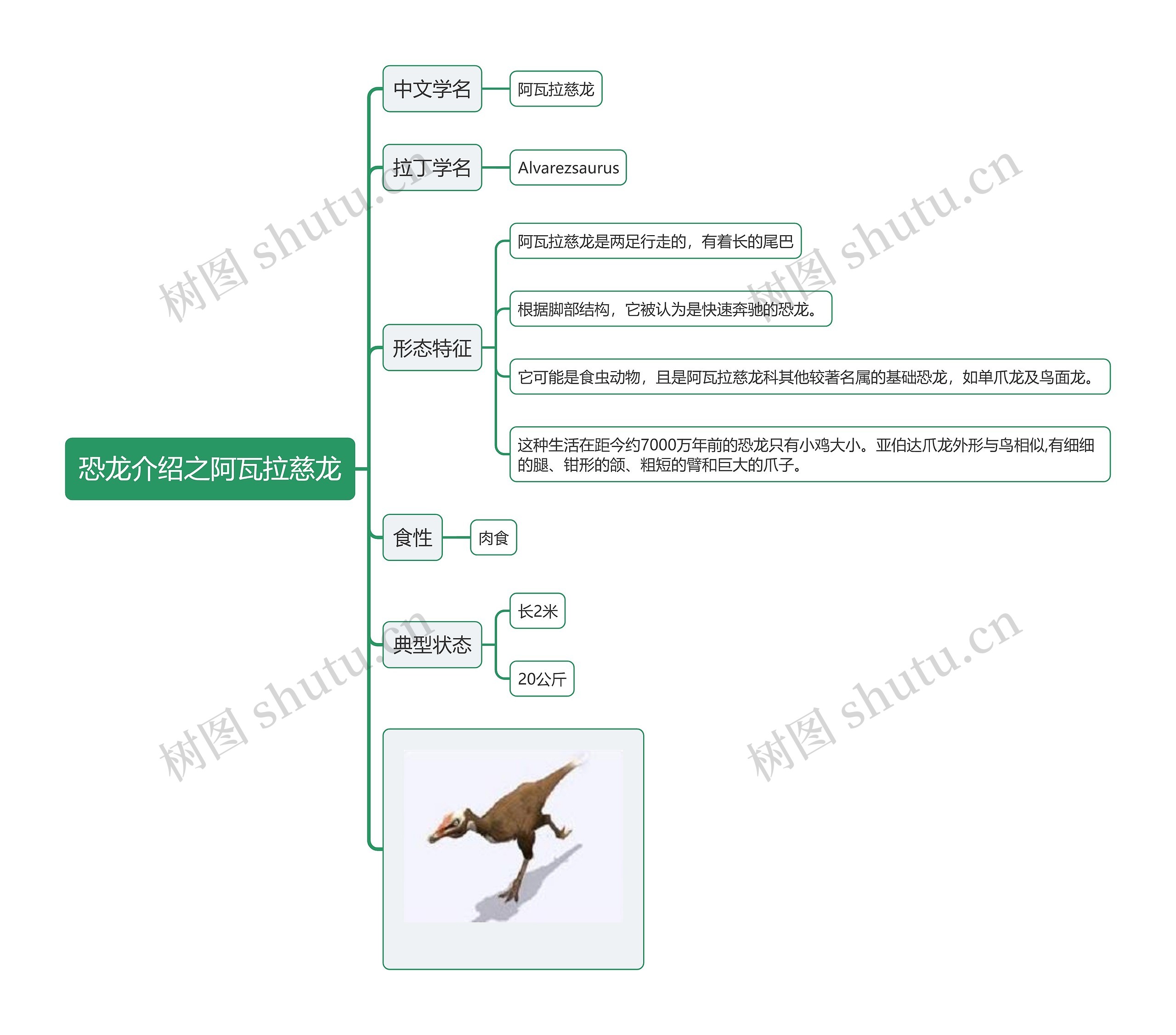 恐龙介绍之阿瓦拉慈龙思维导图