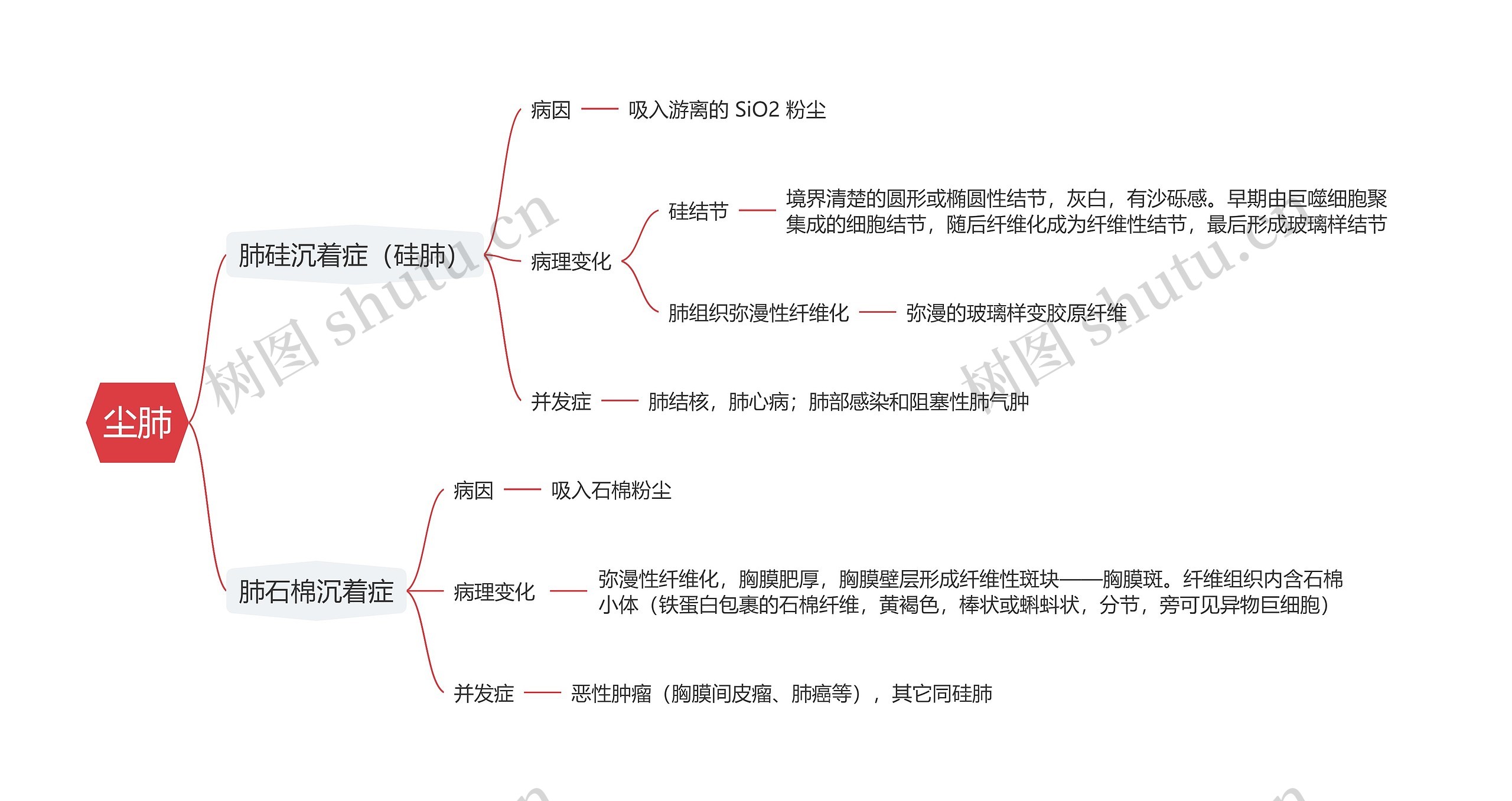 尘肺思维导图