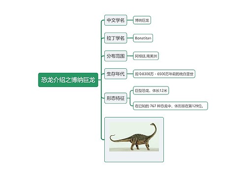 恐龙介绍之博纳巨龙思维导图
